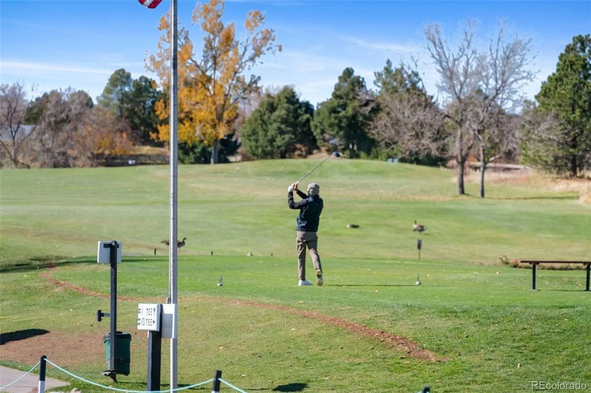 Property Slideshow image 37 of 47 | 4871 greenwich dr, Highlands Ranch, CO, 80130