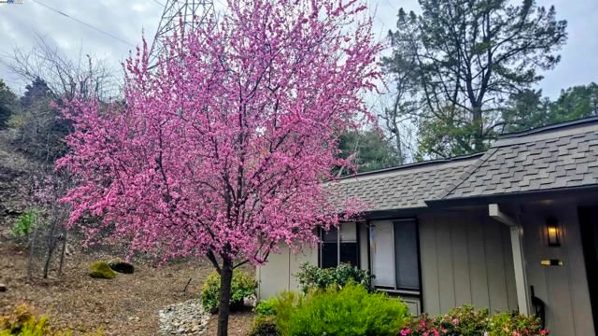 Property Slideshow image 15 of 18 | 1932 ptarmigan dr apt 1, Walnut Creek, CA, 94595