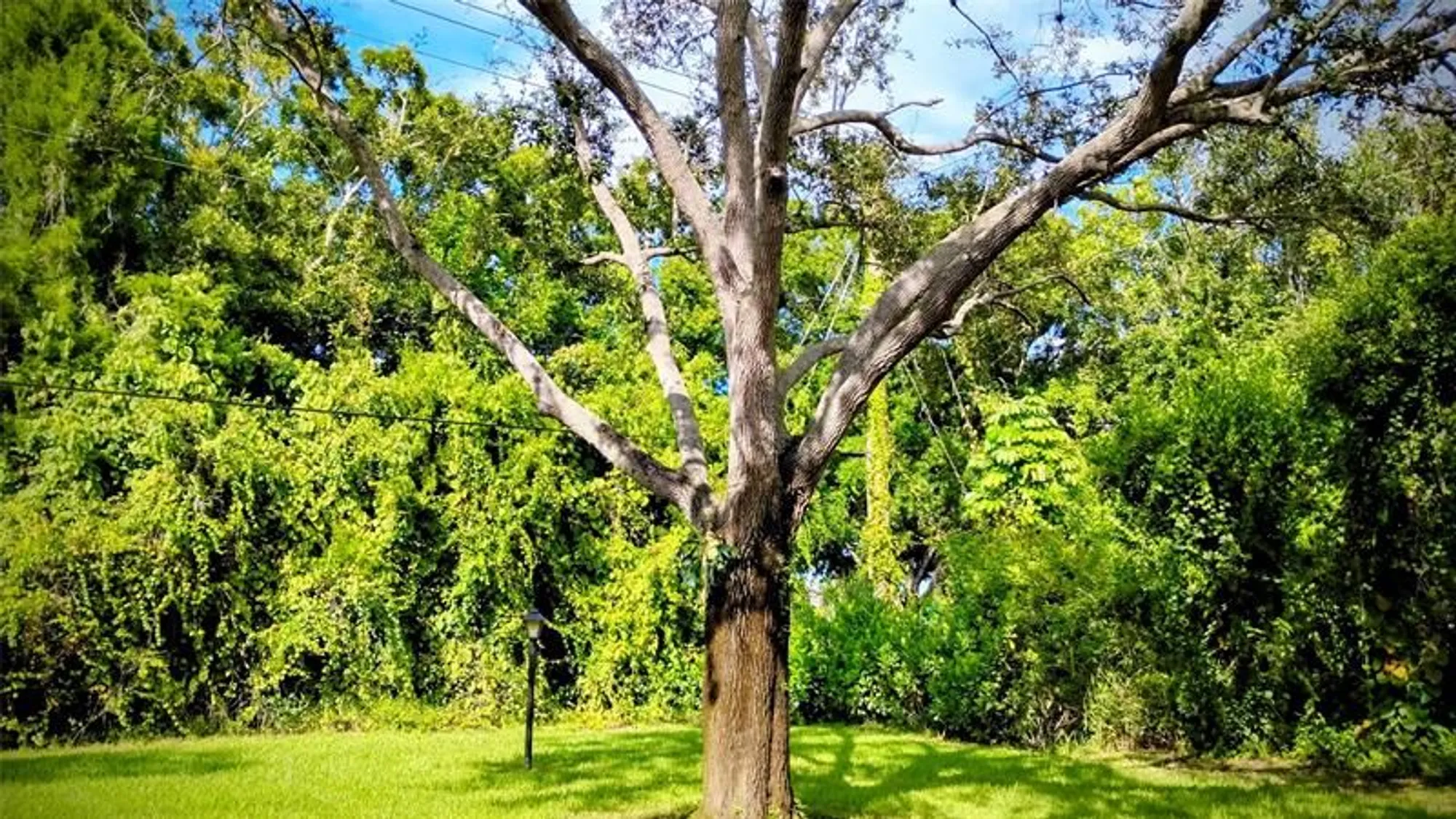 Property Slideshow image 15 of 15 | 1225 nw 21st st 3304, Stuart, FL, 34994