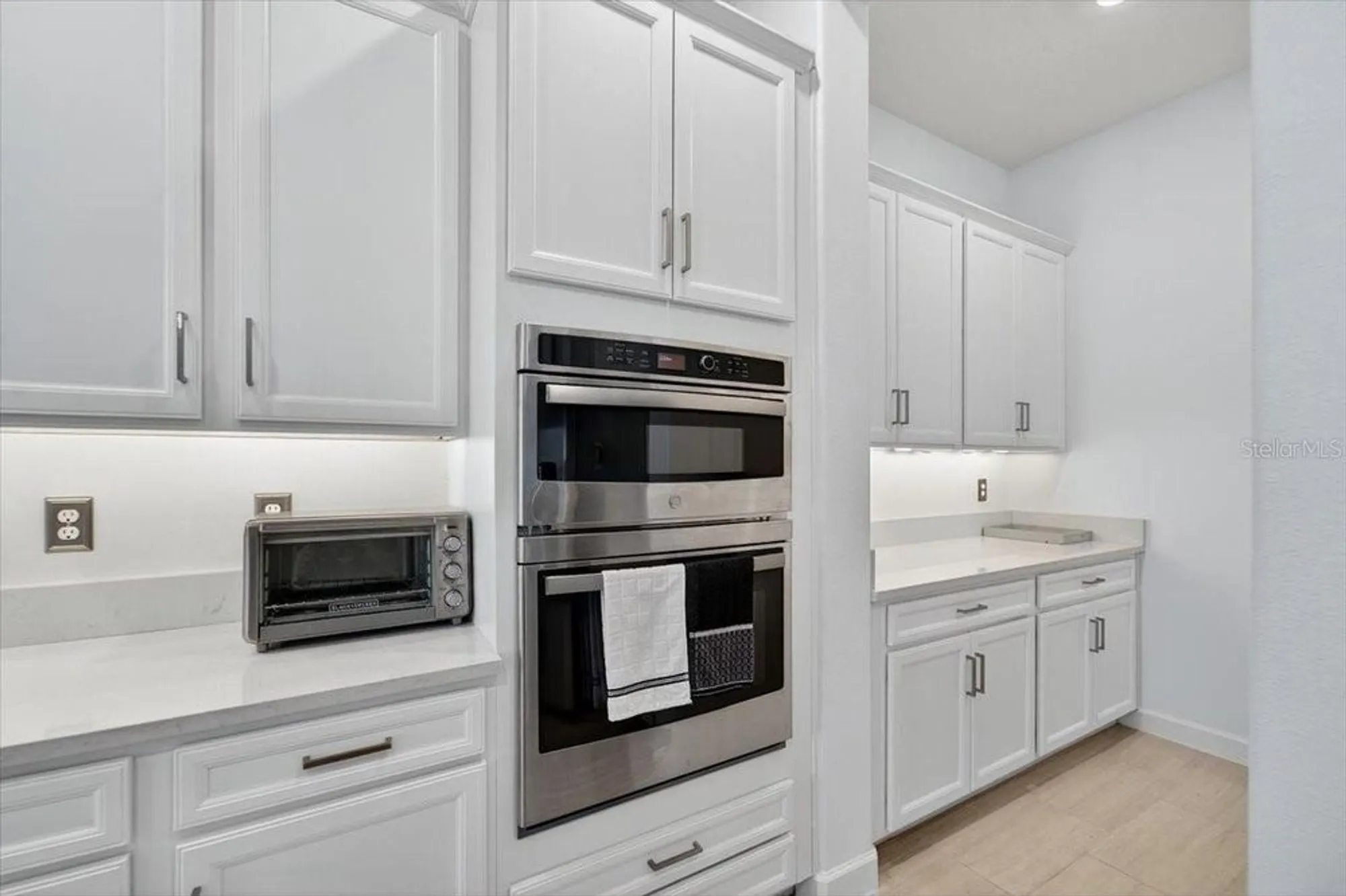 Property Slideshow image 9 of 80 | 17317 scuba crest st, Wimauma, FL, 33598