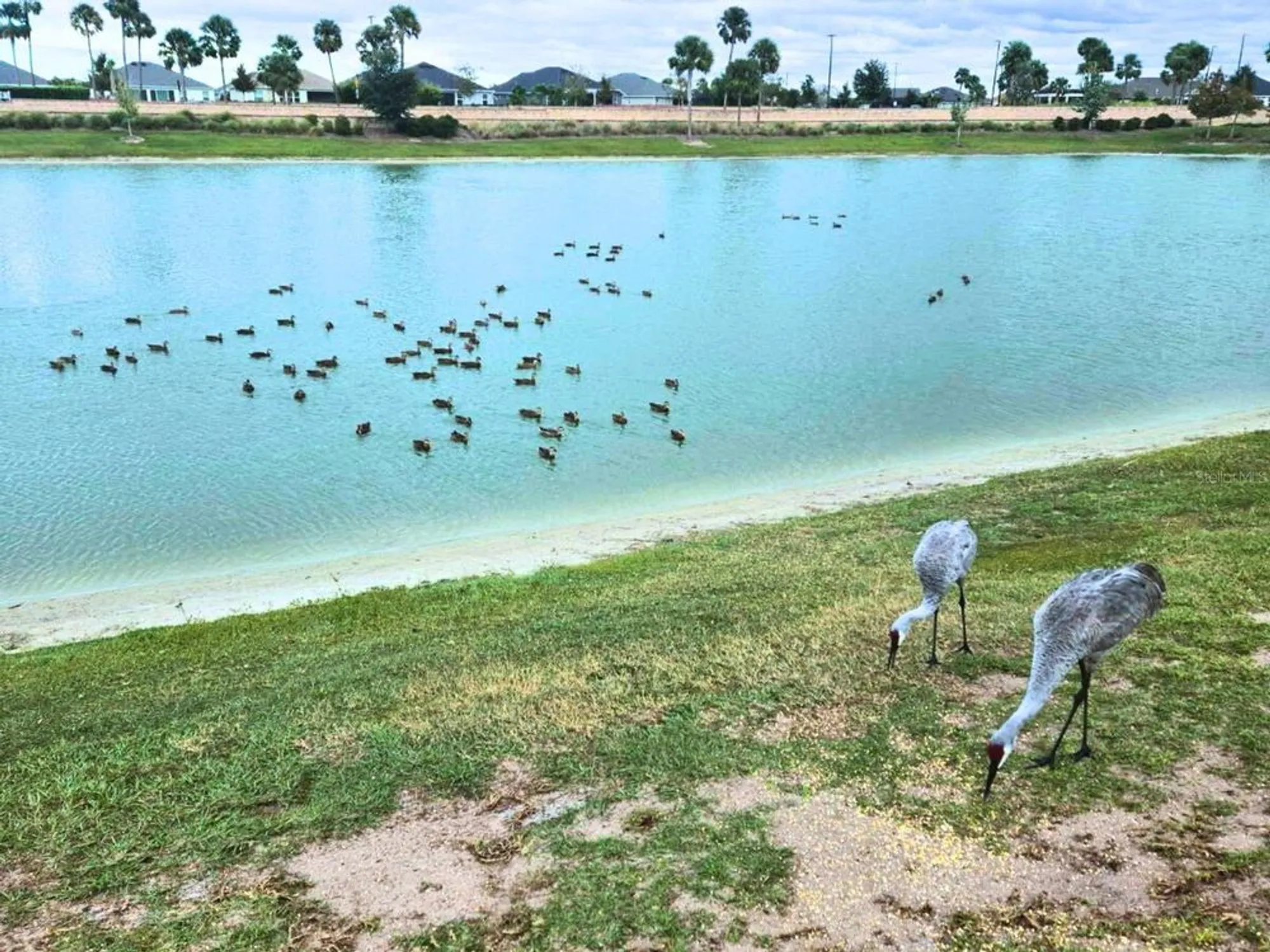 Property Slideshow image 36 of 51 | 5835 tupper ct, The Villages, FL, 32163