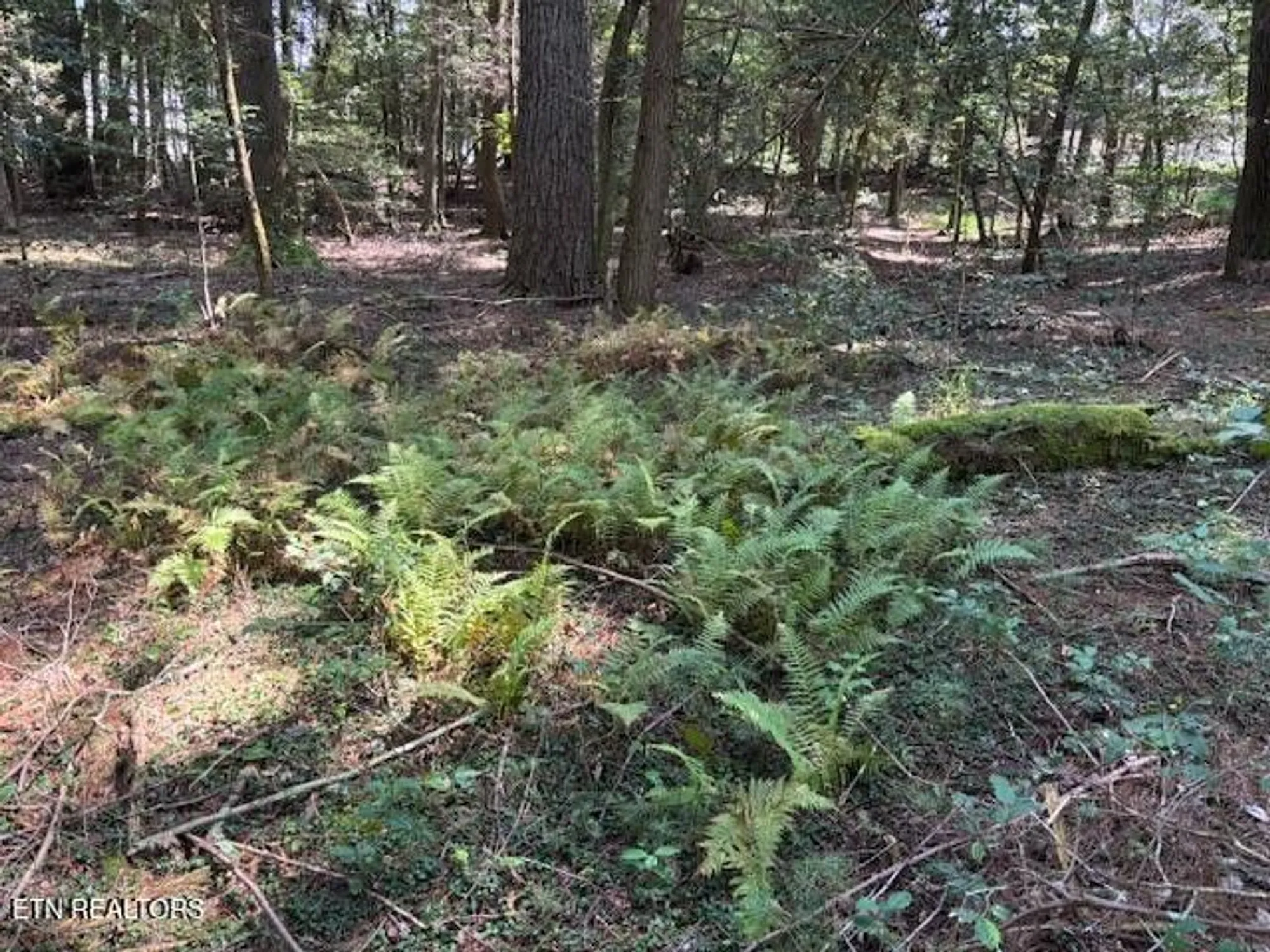 Property Slideshow image 42 of 42 | 151 forest view dr, Crossville, TN, 38558