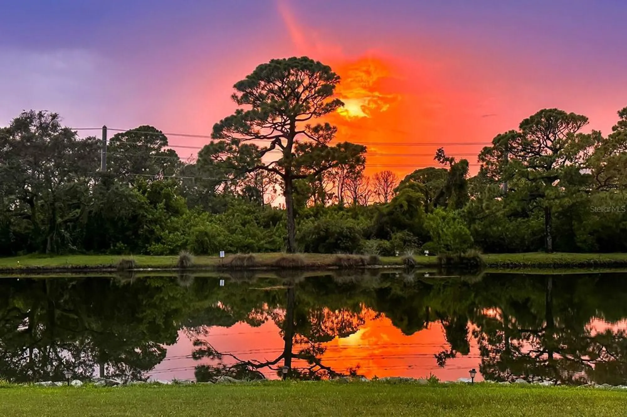 Property Slideshow image 75 of 77 | 8186 terrace garden dr n unit 101, St Petersburg, FL, 33709