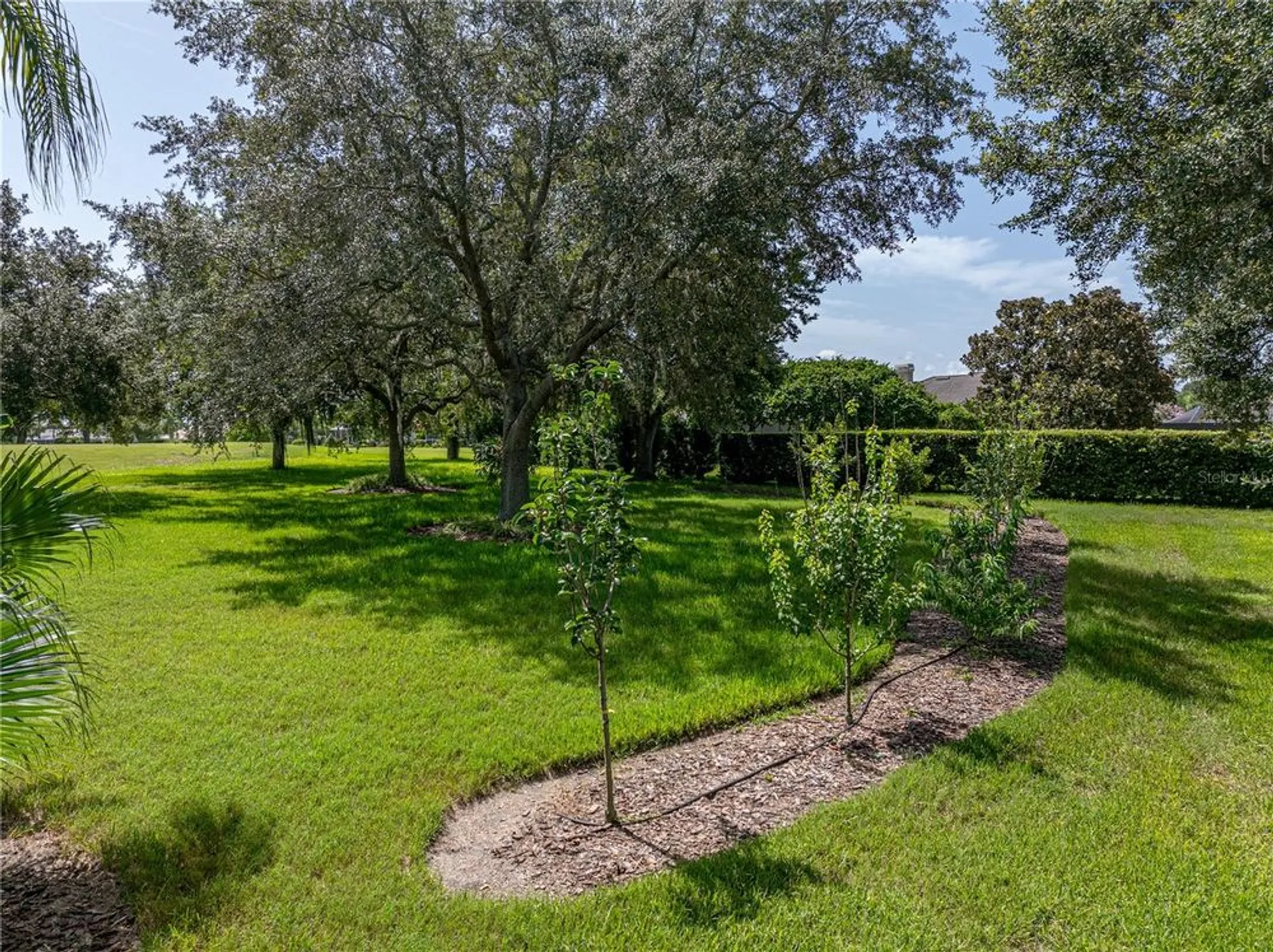 Property Slideshow image 83 of 85 | 13216 legends trl, Dade City, FL, 33525