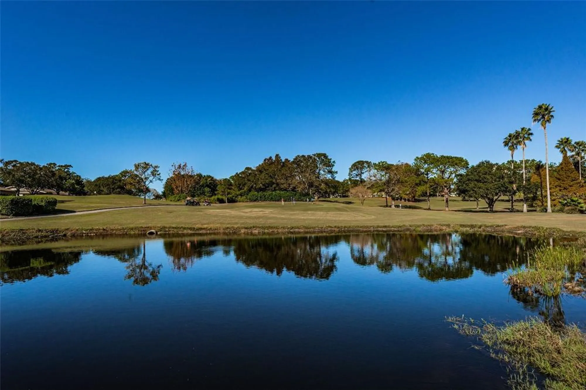 Property Slideshow image 49 of 56 | 3116 highlands blvd # 3116, Palm Harbor, FL, 34684