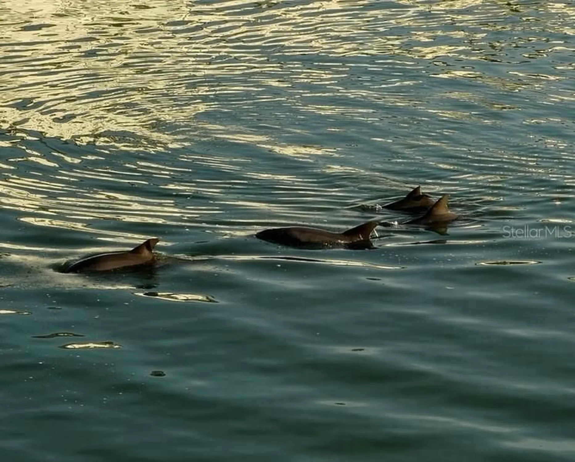 Property Slideshow image 20 of 39 | 6075 shore blvd 215, Gulfport, FL, 33707