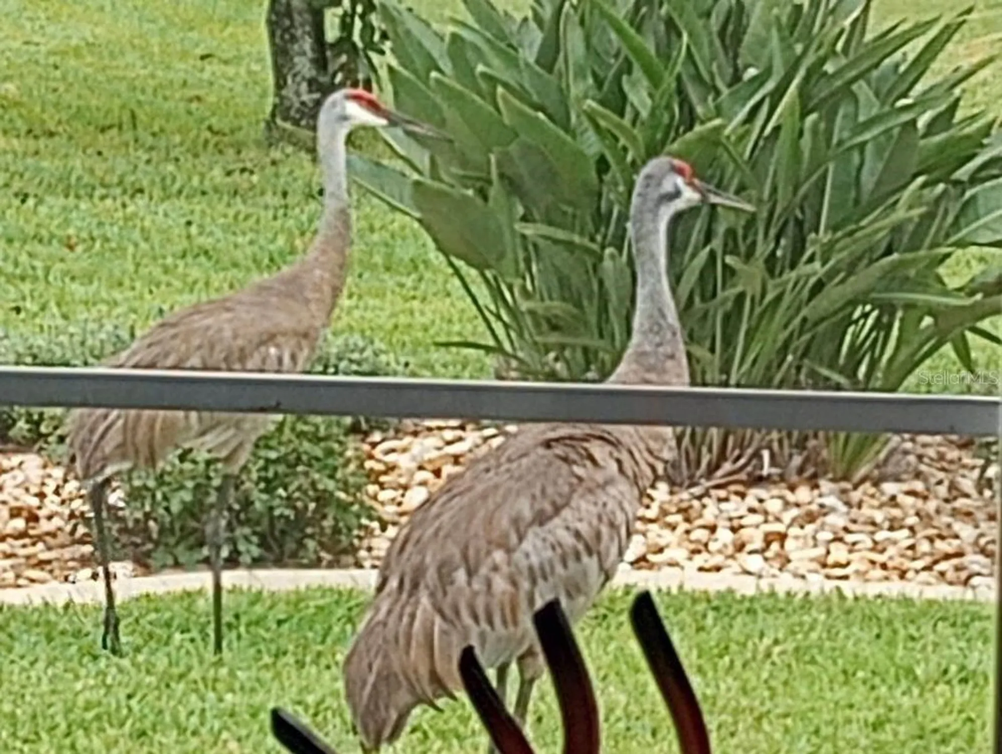 Property Slideshow image 38 of 59 | 15858 sw 11th court rd, Ocala, FL, 34473