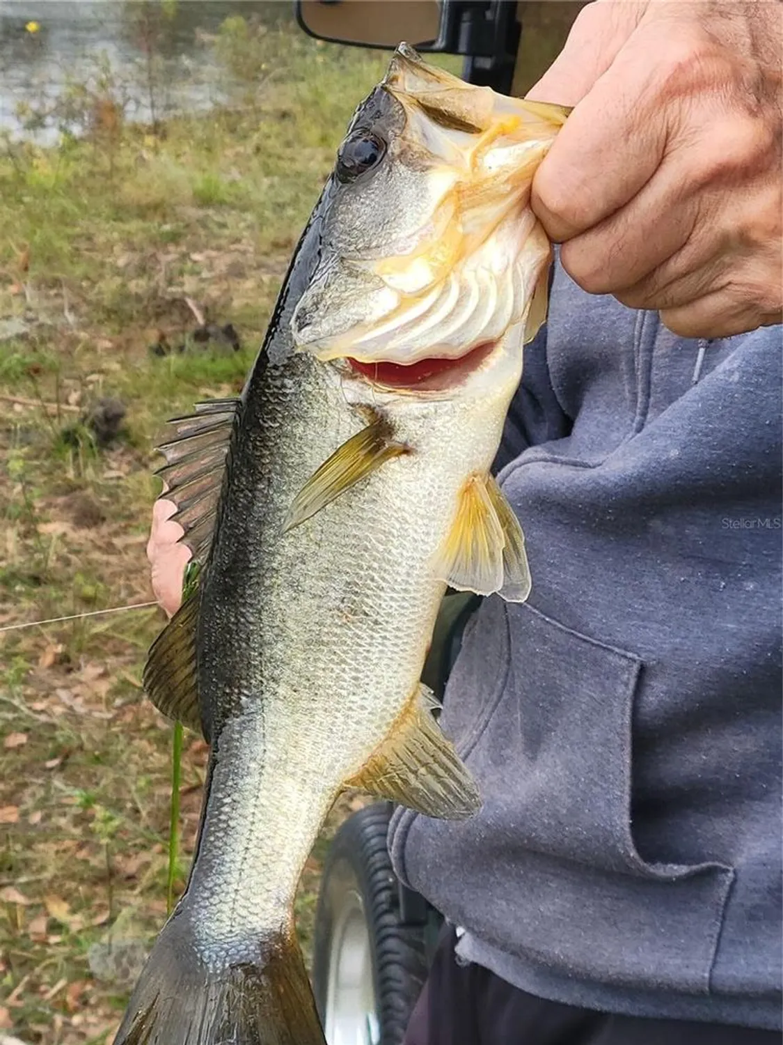 Property Slideshow image 50 of 55 | 27343 roanoke dr, Leesburg, FL, 34748