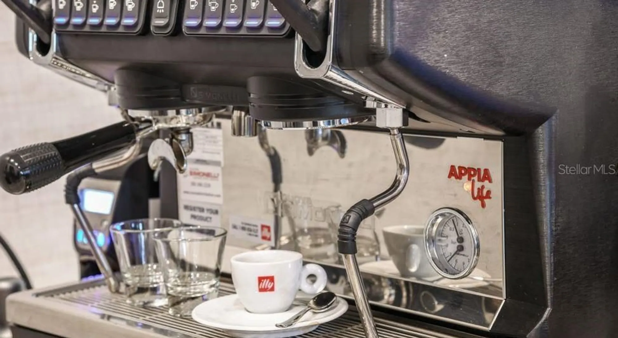 Property Slideshow image 32 of 43 | 29929 radice ct, Wesley Chapel, FL, 33543