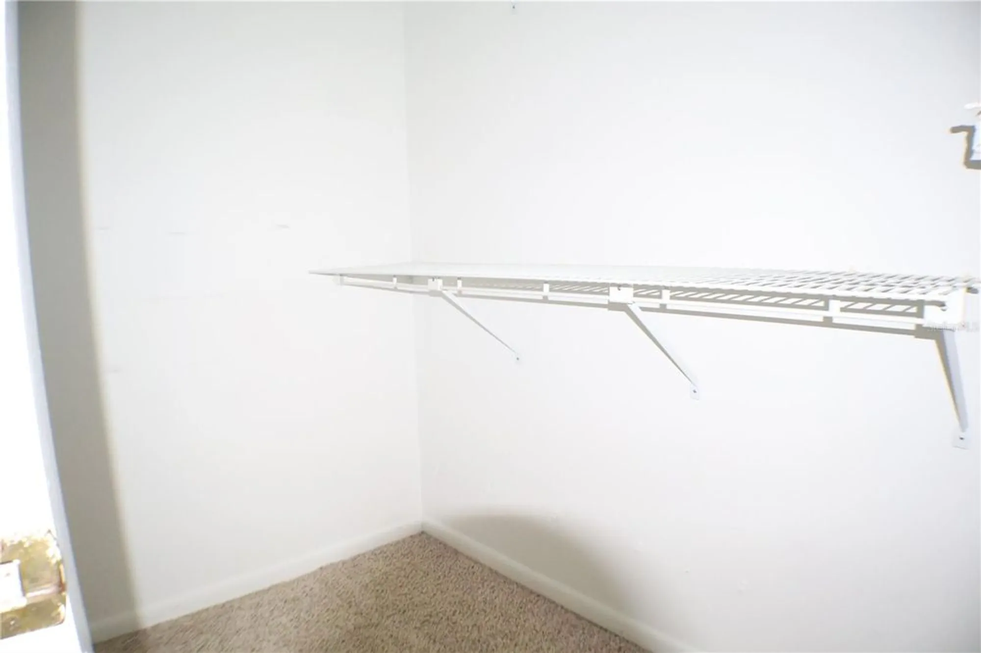 Property Slideshow image 18 of 37 | 11806 white ash dr, New Port Richey, FL, 34654