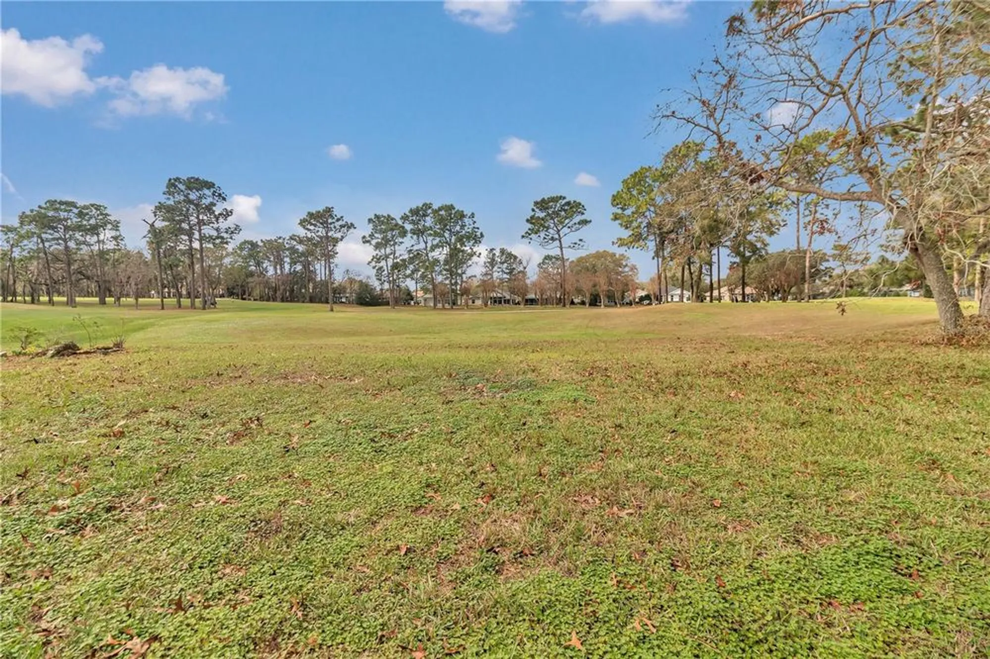 Property Slideshow image 27 of 41 | 11741 sw 72nd cir, Ocala, FL, 34476
