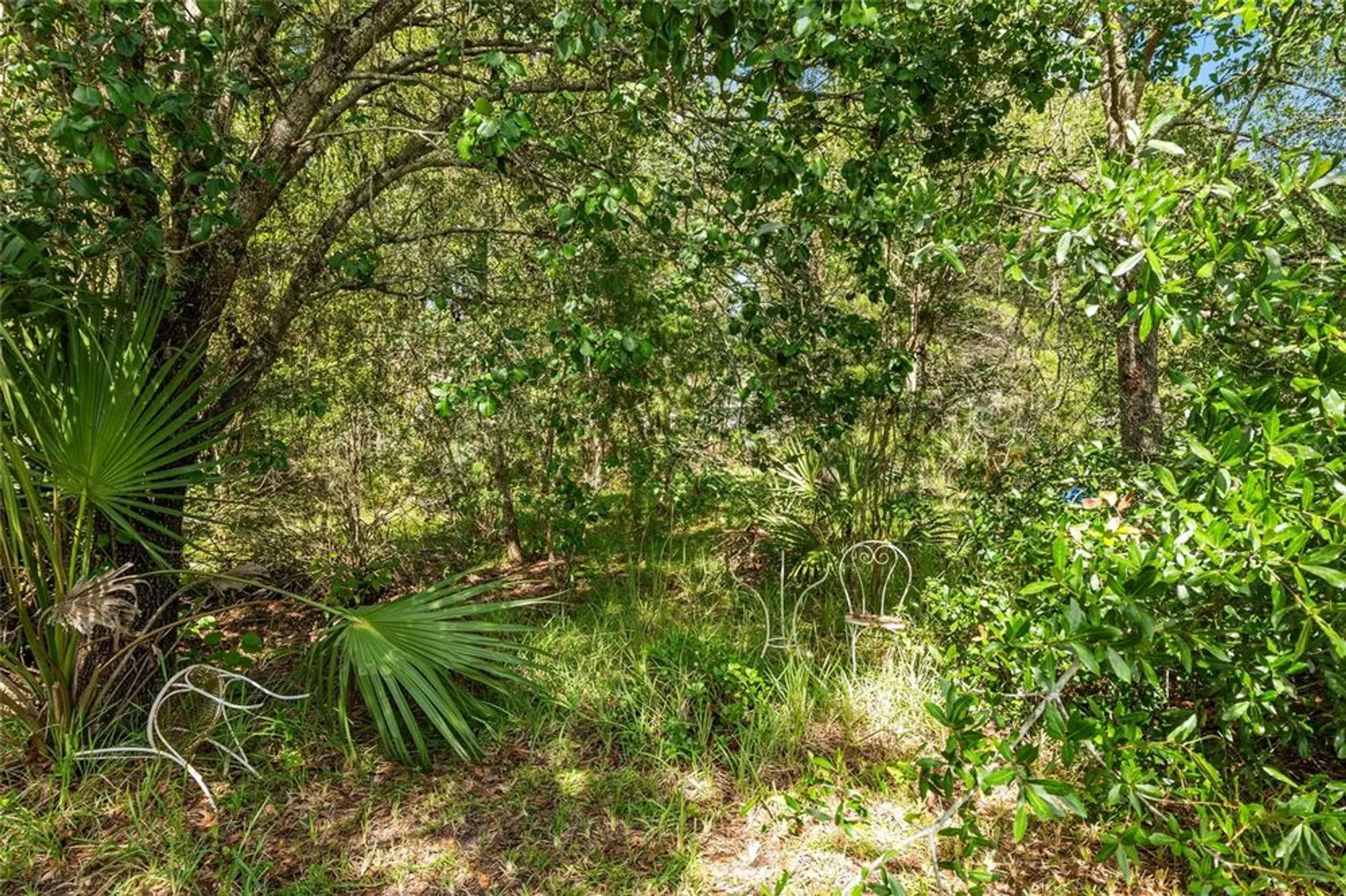 Property Slideshow image 58 of 74 | 11123 sw 53rd cir, Ocala, FL, 34476