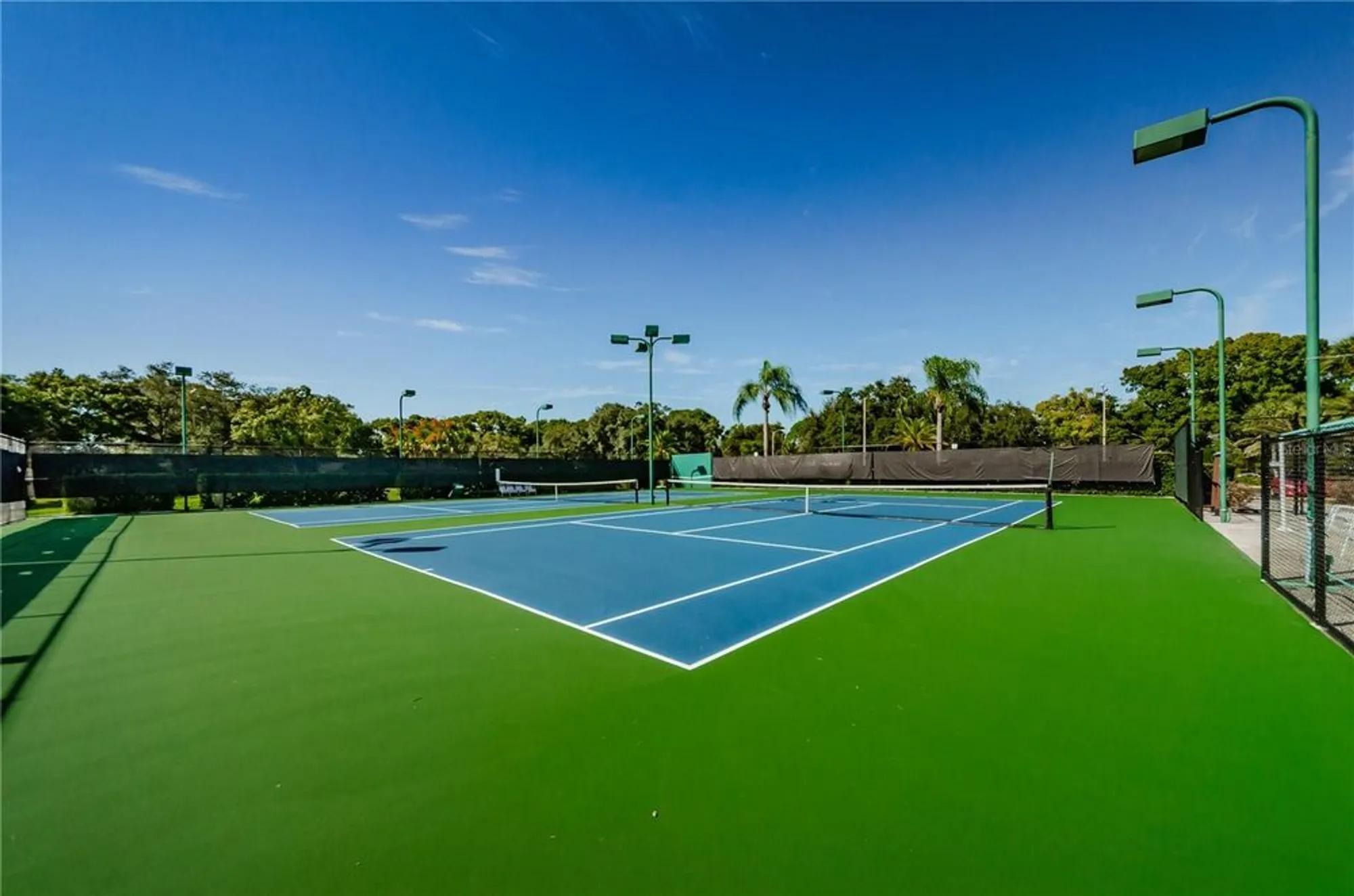 Property Slideshow image 50 of 100 | 3420 stonehaven ct d, Palm Harbor, FL, 34684