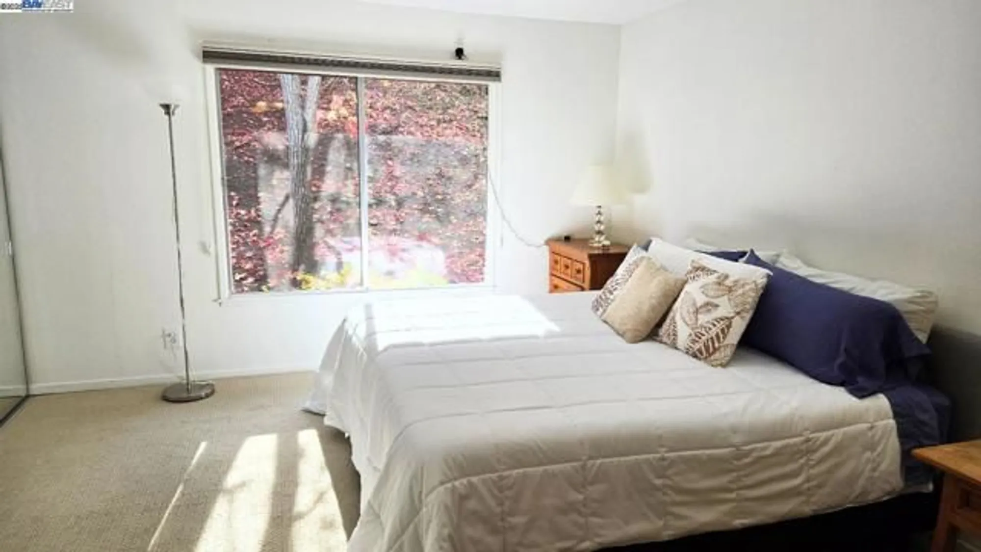 Property Slideshow image 7 of 18 | 1932 ptarmigan dr apt 1, Walnut Creek, CA, 94595