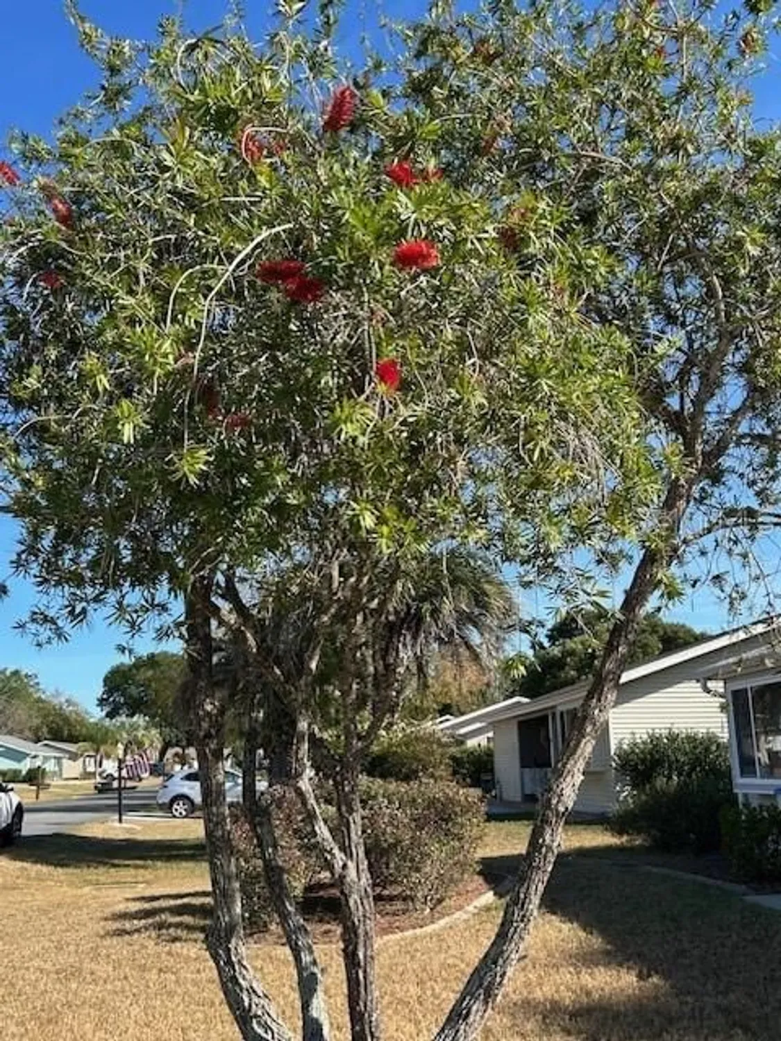 Property Slideshow image 58 of 58 | 8472 sw 109th st, Ocala, FL, 34481