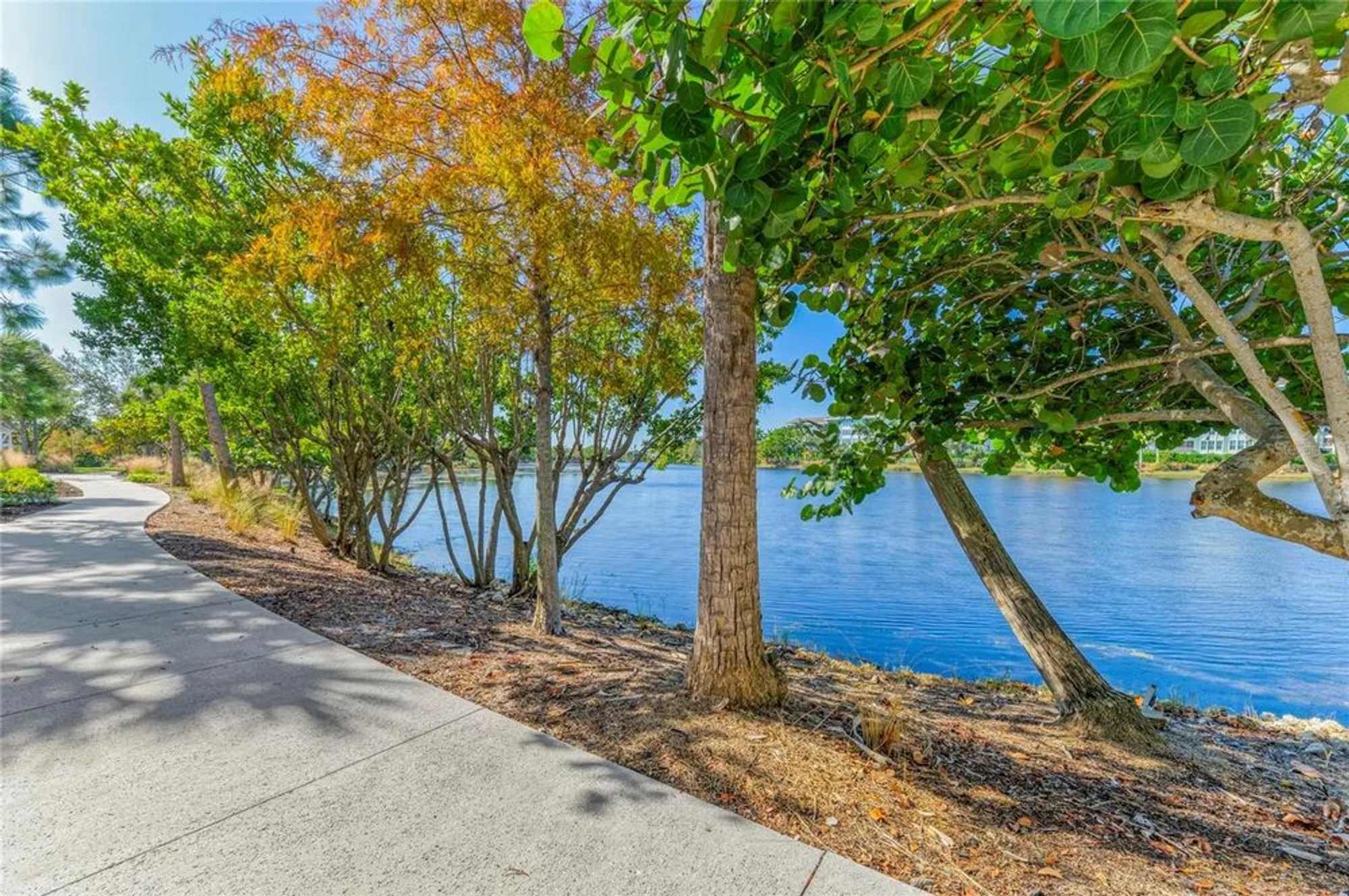 Property Slideshow image 48 of 100 | 348 sapphire lake dr unit 201, Bradenton, FL, 34209
