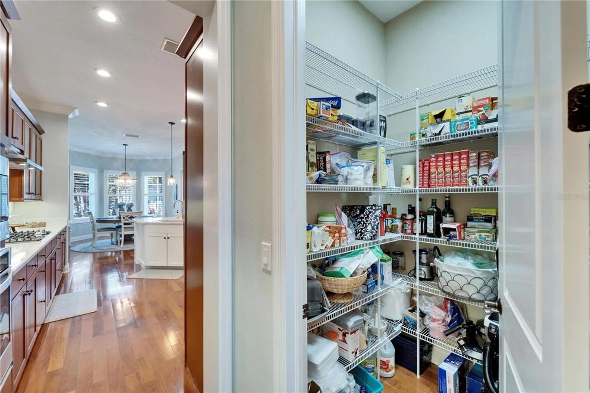 Property Slideshow image 48 of 99 | 5616 seagrass pl, Apollo Beach, FL, 33572