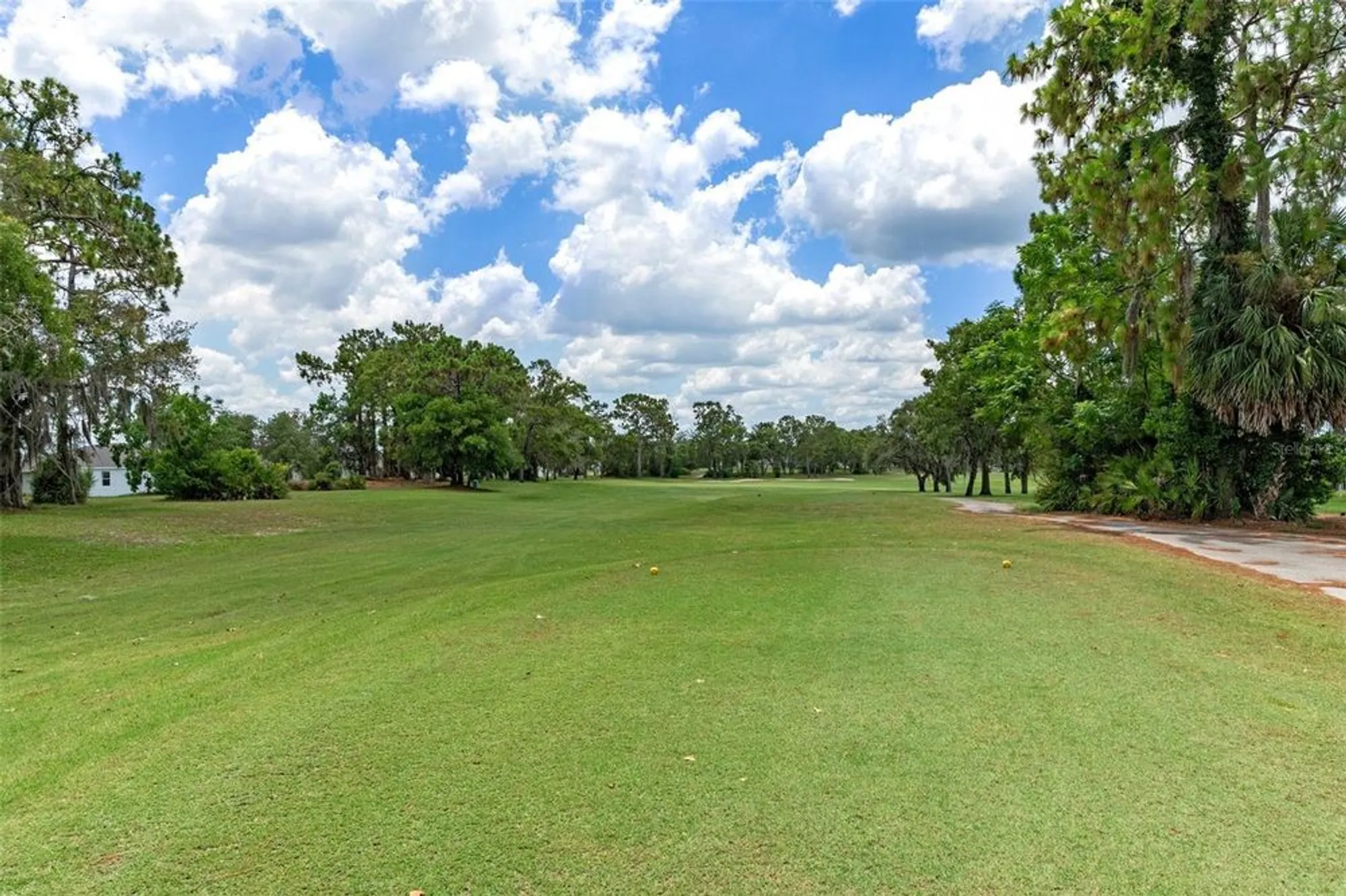 Property Slideshow image 50 of 71 | 9149 penelope dr, Weeki Wachee, FL, 34613