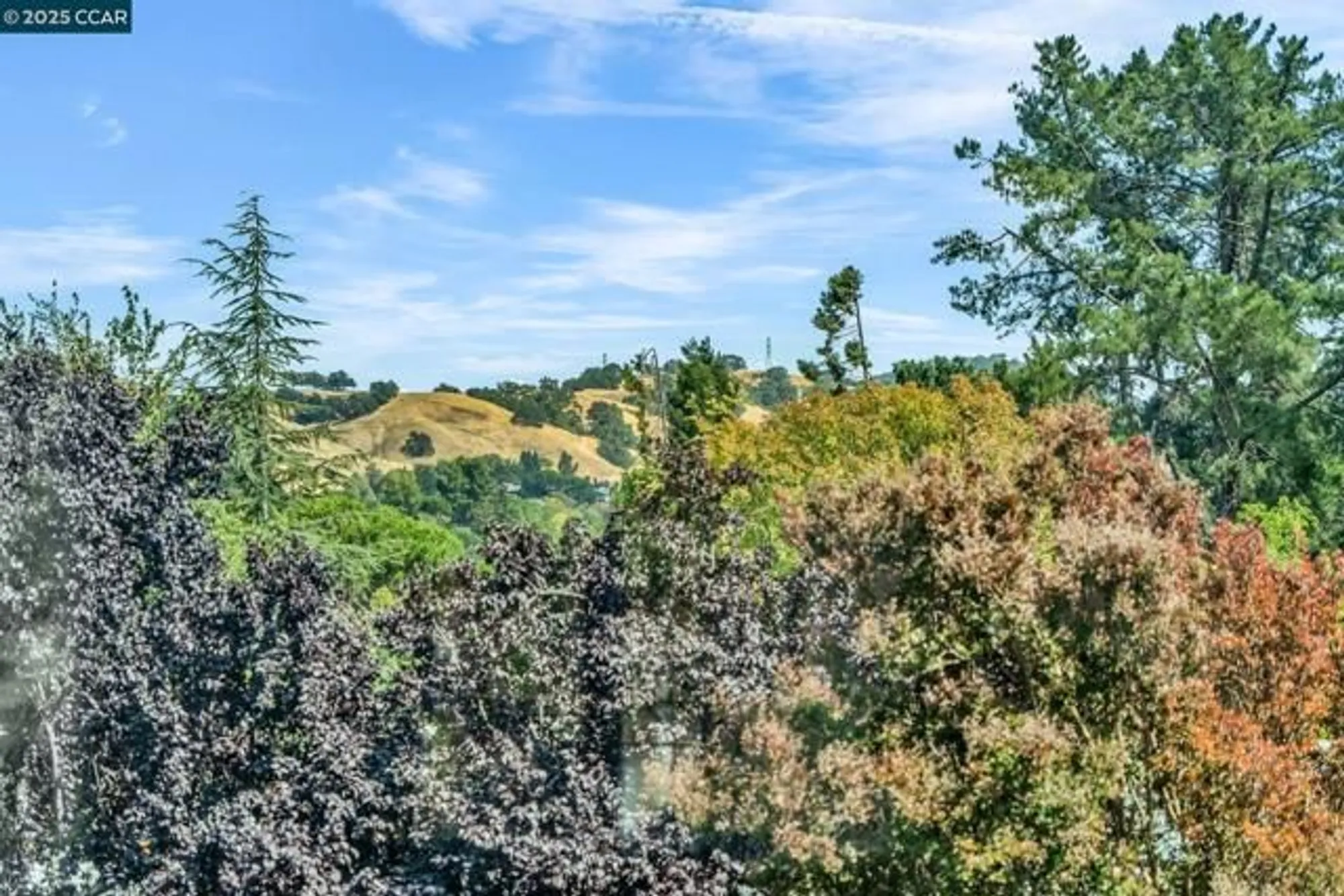 Property Slideshow image 28 of 46 | 1935 golden rain rd 1, Walnut Creek, CA, 94595