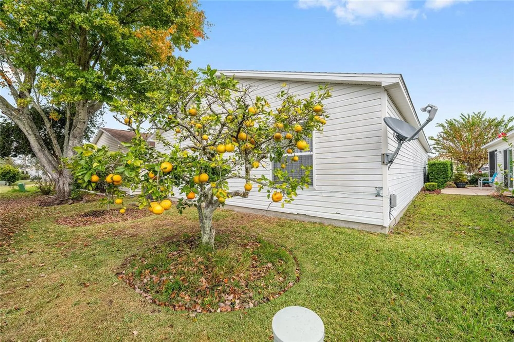 Property Slideshow image 30 of 47 | 1612 campos dr, The Villages, FL, 32162