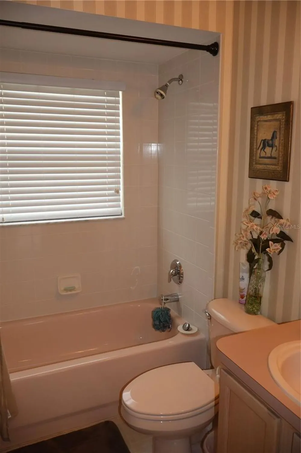 Property Slideshow image 16 of 22 | 11323 highlander ct, Spring Hill, FL, 34609