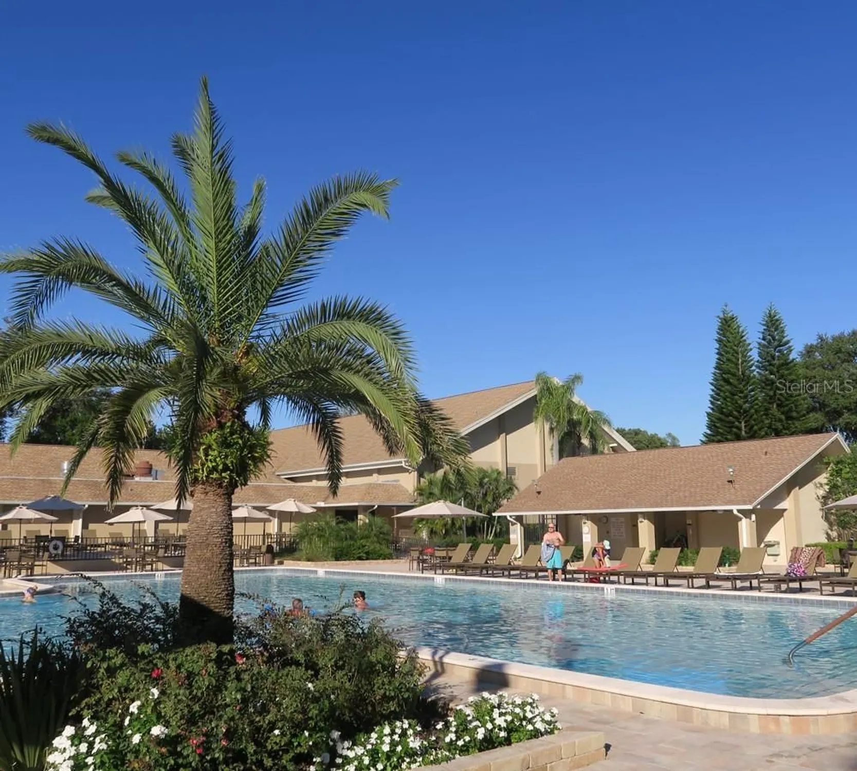 Property Slideshow image 36 of 44 | 3283 hilary cir 2c, Palm Harbor, FL, 34684