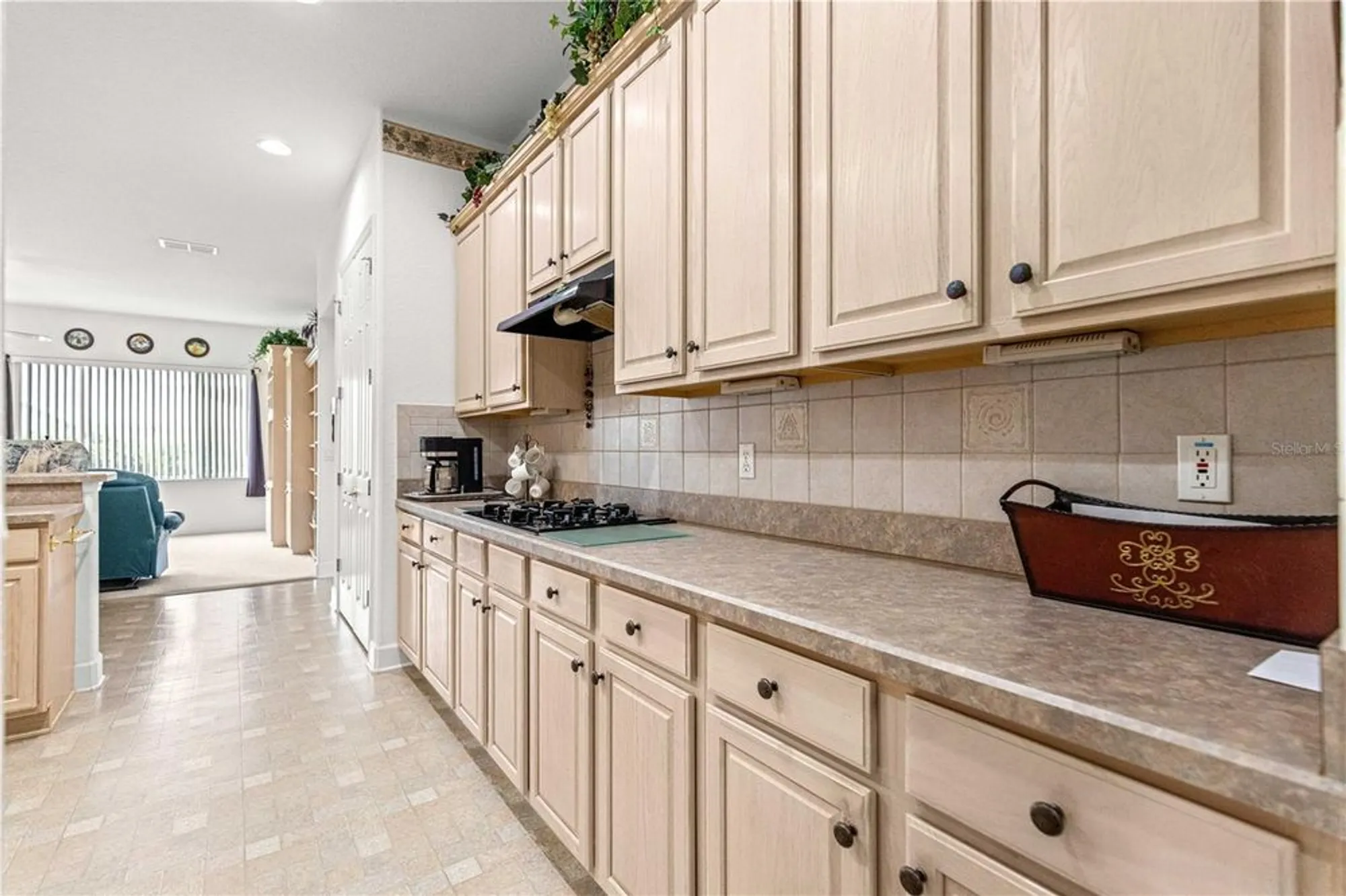Property Slideshow image 35 of 86 | 9330 se 132nd pl, Summerfield, FL, 34491