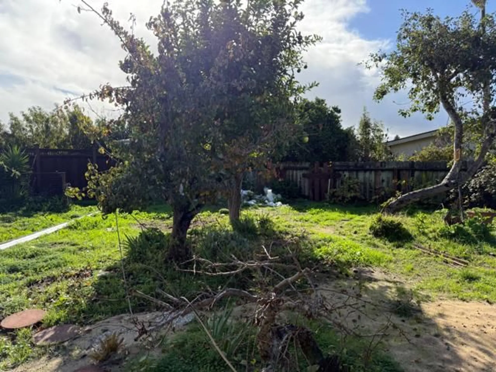 Property Slideshow image 14 of 15 | 604 ester way, Watsonville, CA, 95076