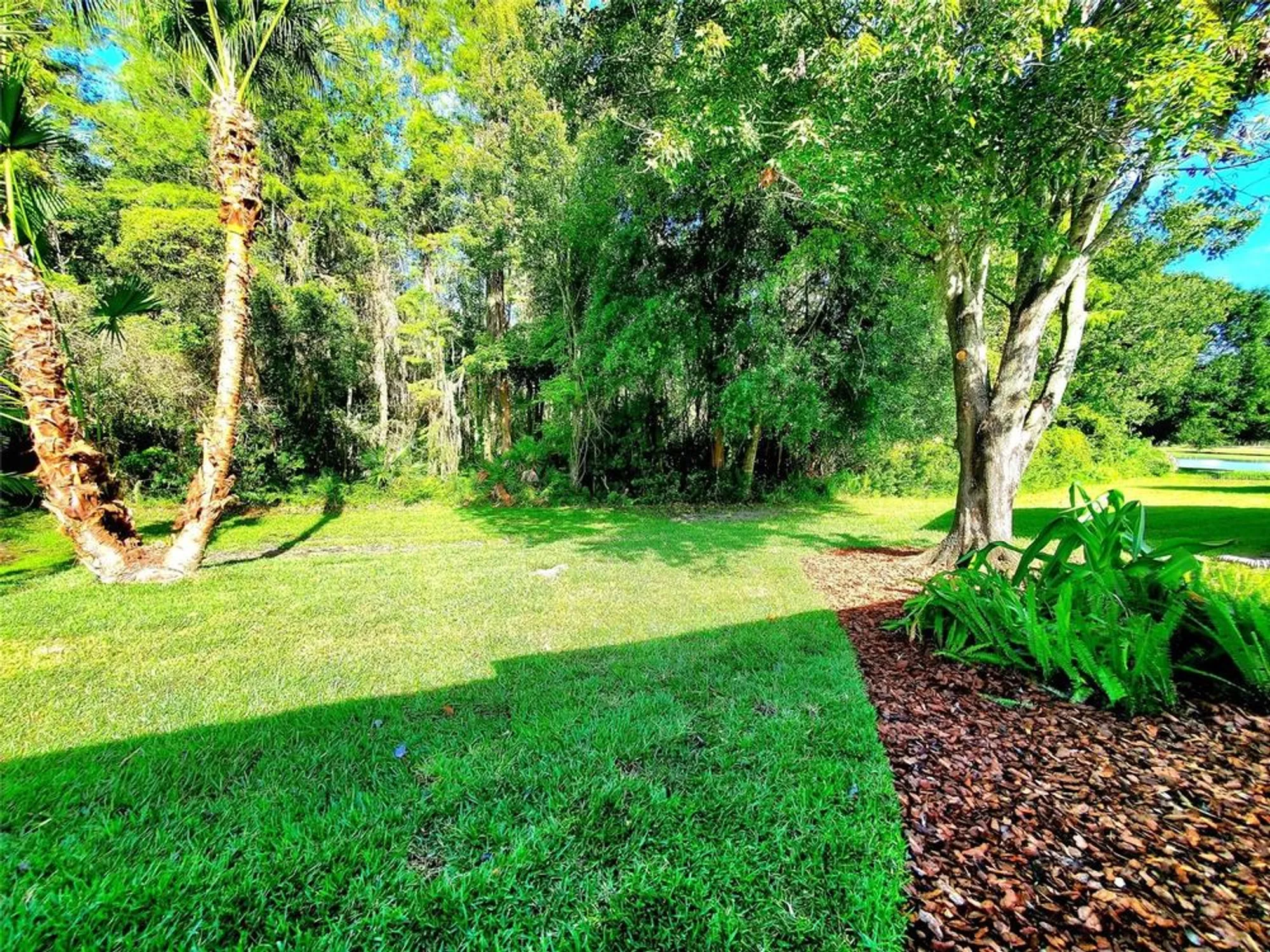 Property Slideshow image 45 of 50 | 1517 morning rose pl, Trinity, FL, 34655
