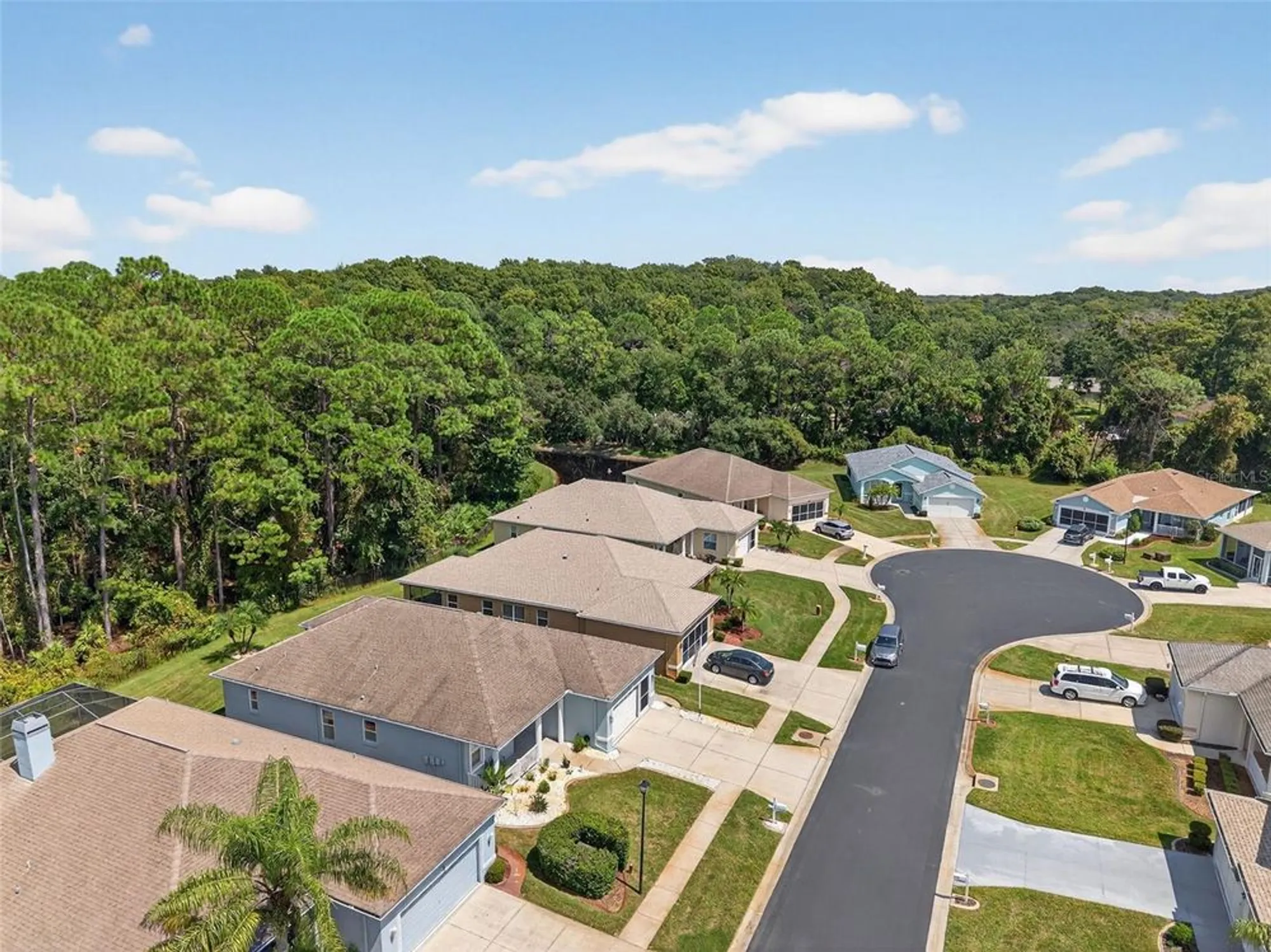 Property Slideshow image 60 of 71 | 11501 bloomington ct, New Port Richey, FL, 34654