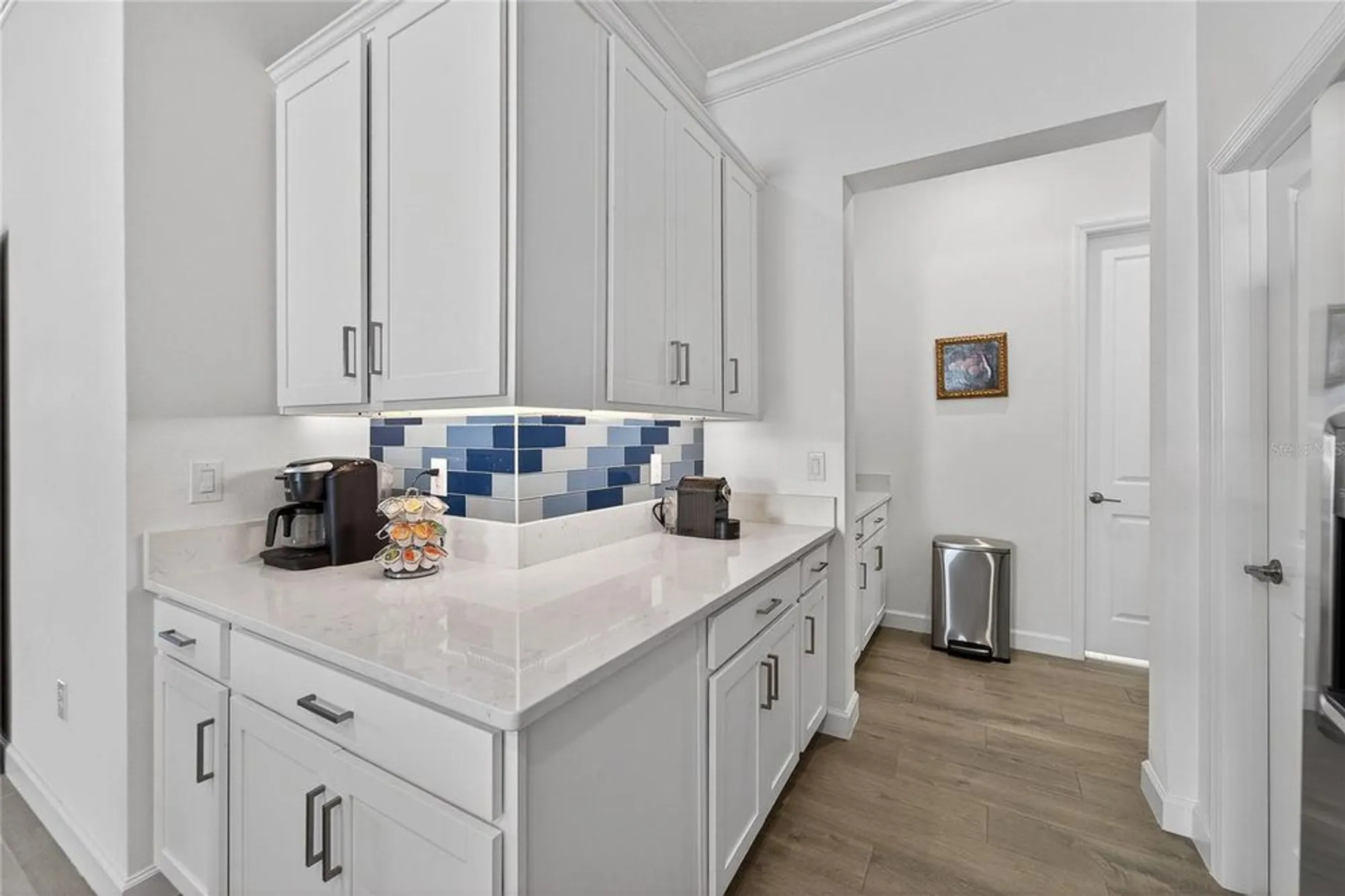 Property Slideshow image 11 of 98 | 17216 scuba crest st, Wimauma, FL, 33598