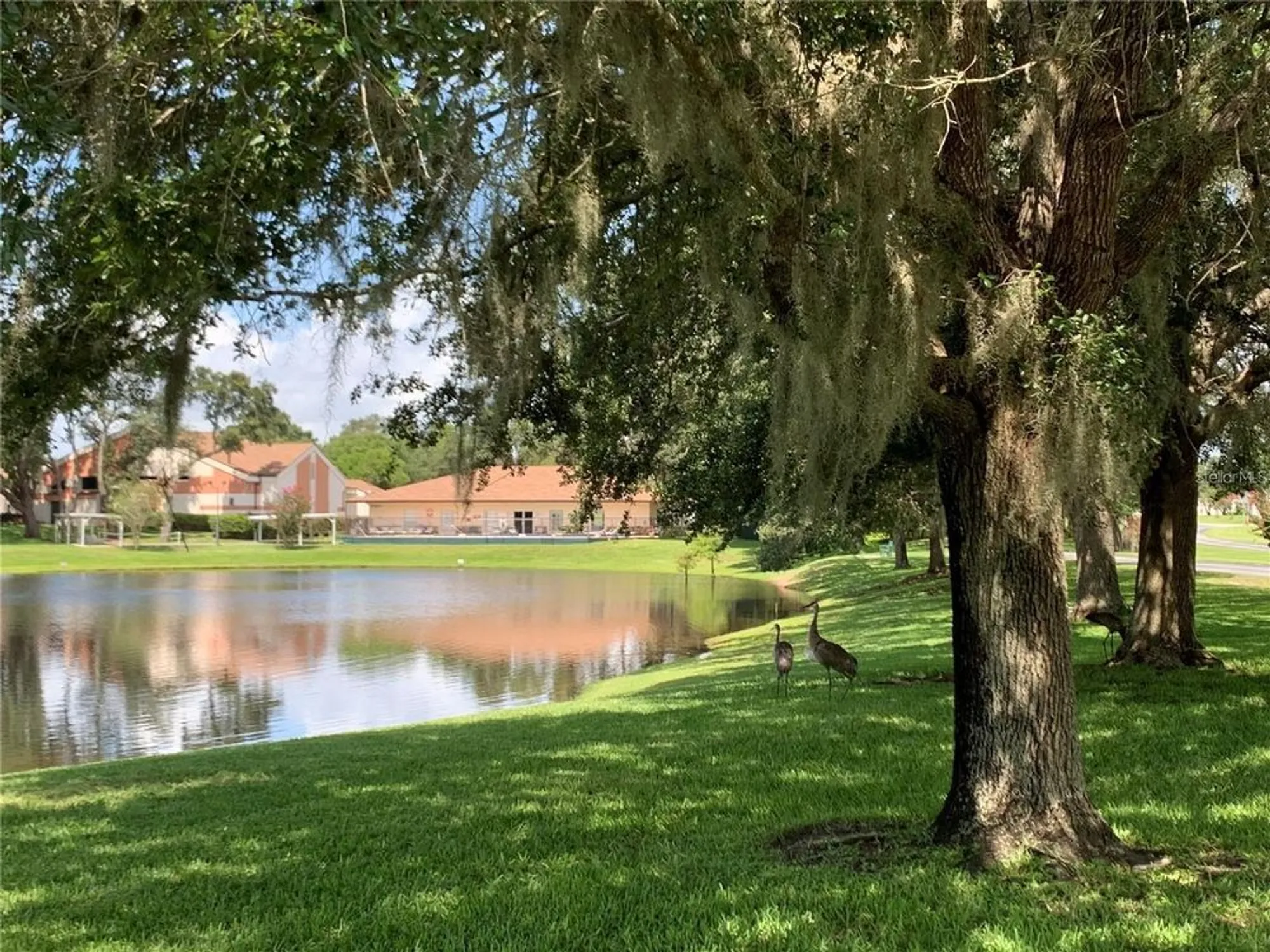 Property Slideshow image 51 of 57 | 10 brigadoon cir, Leesburg, FL, 34788