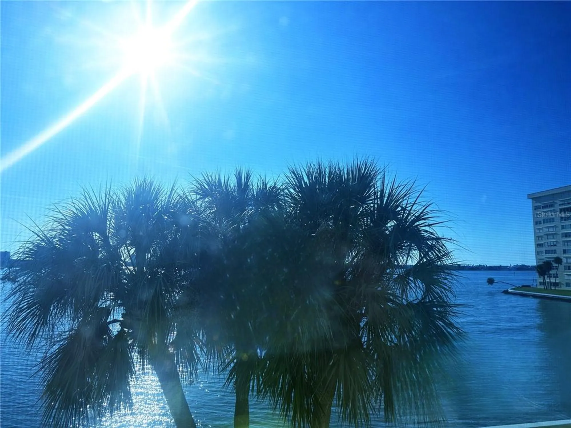 Property Slideshow image 14 of 25 | 4525 cove cir apt 304, Saint Petersburg, FL, 33708