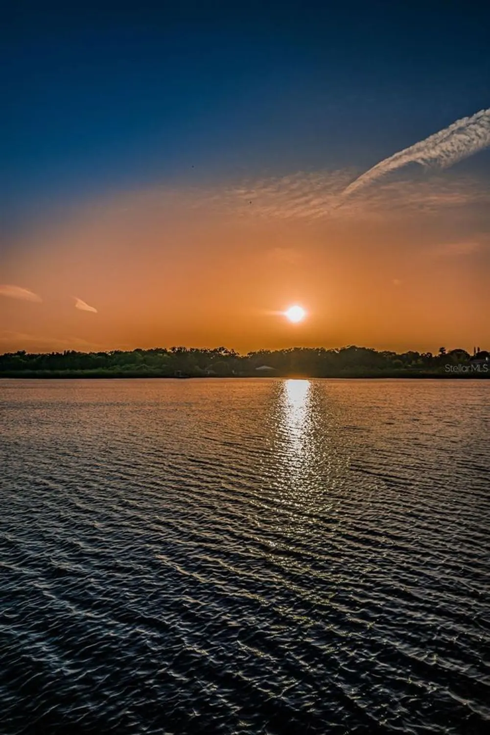 Property Slideshow image 92 of 98 | 2453 brazilia dr 47, Clearwater, FL, 33763