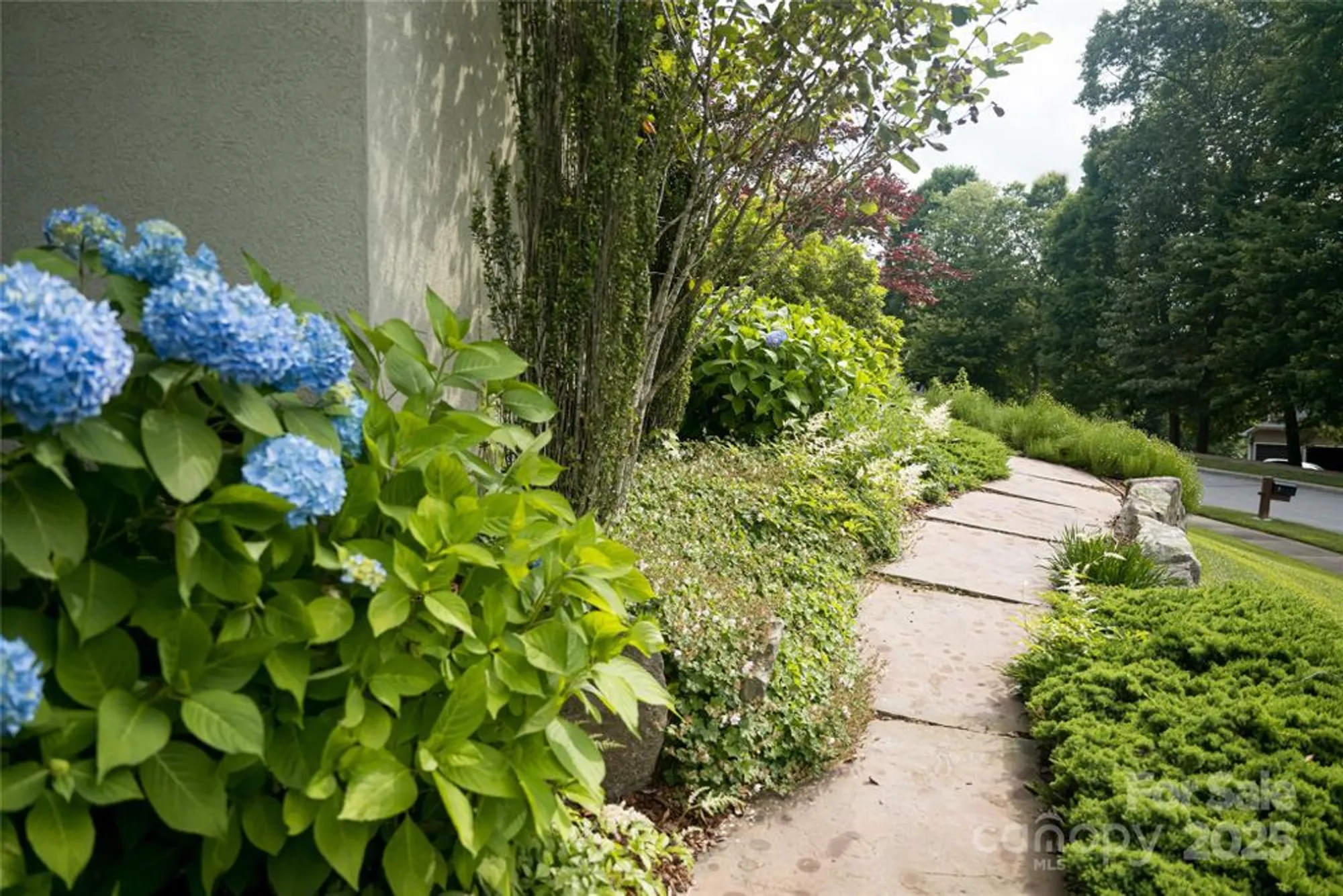 Property Slideshow image 44 of 46 | 7 white palmer ct, Biltmore Lake, NC, 28715