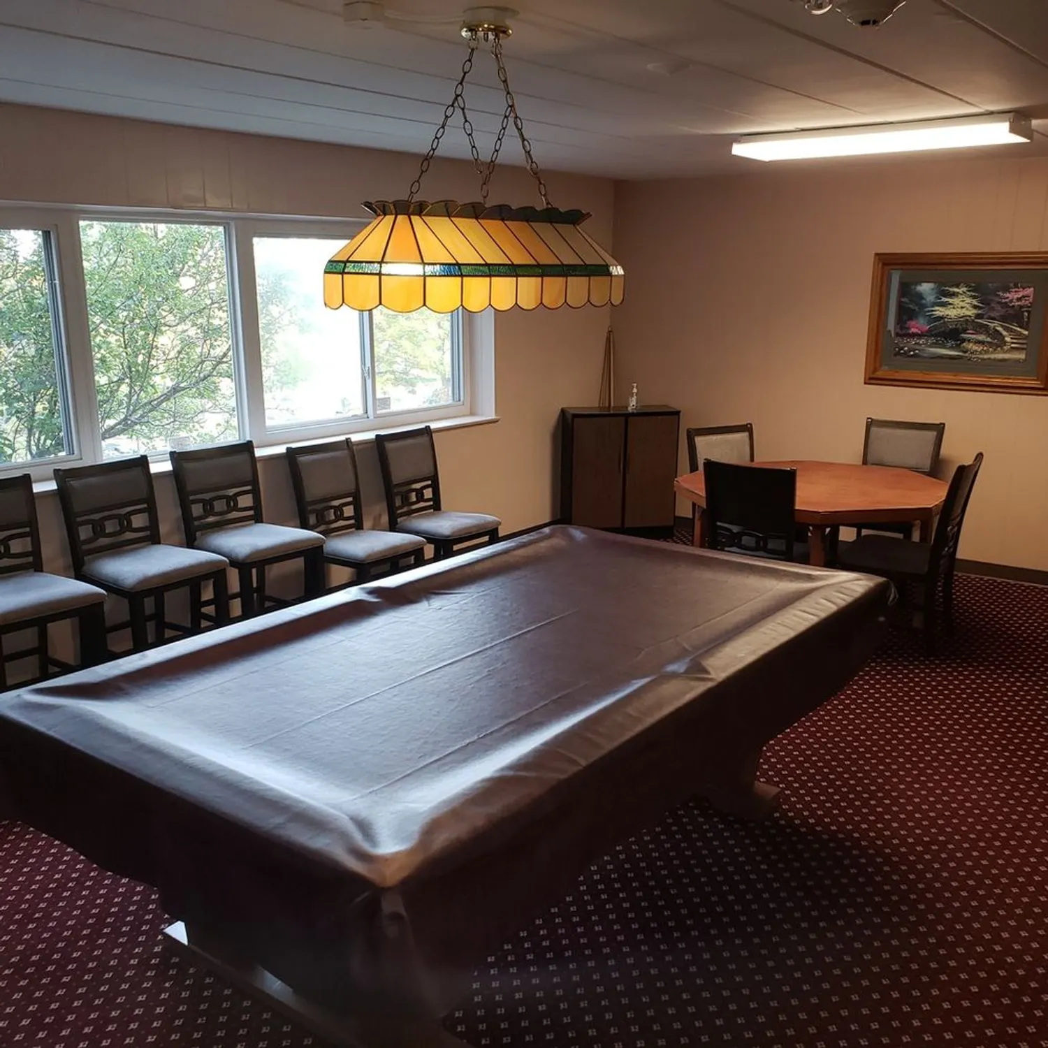 Property Slideshow image 16 of 20 | 5300 walnut ave 12b, Downers Grove, IL, 60515