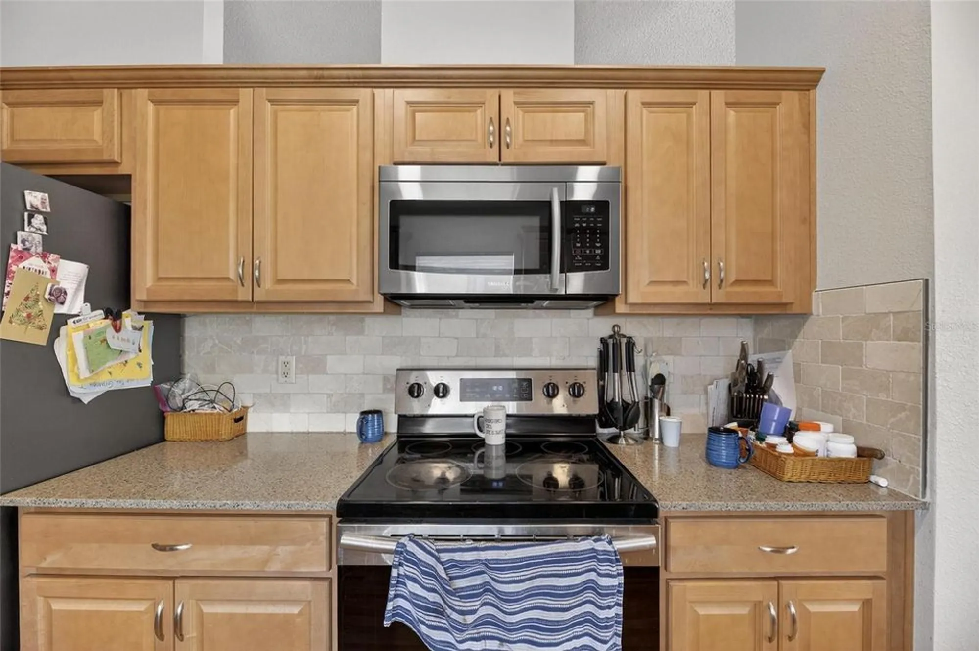 Property Slideshow image 17 of 76 | 1024 new winsor loop # 1024, Sun City Center, FL, 33573