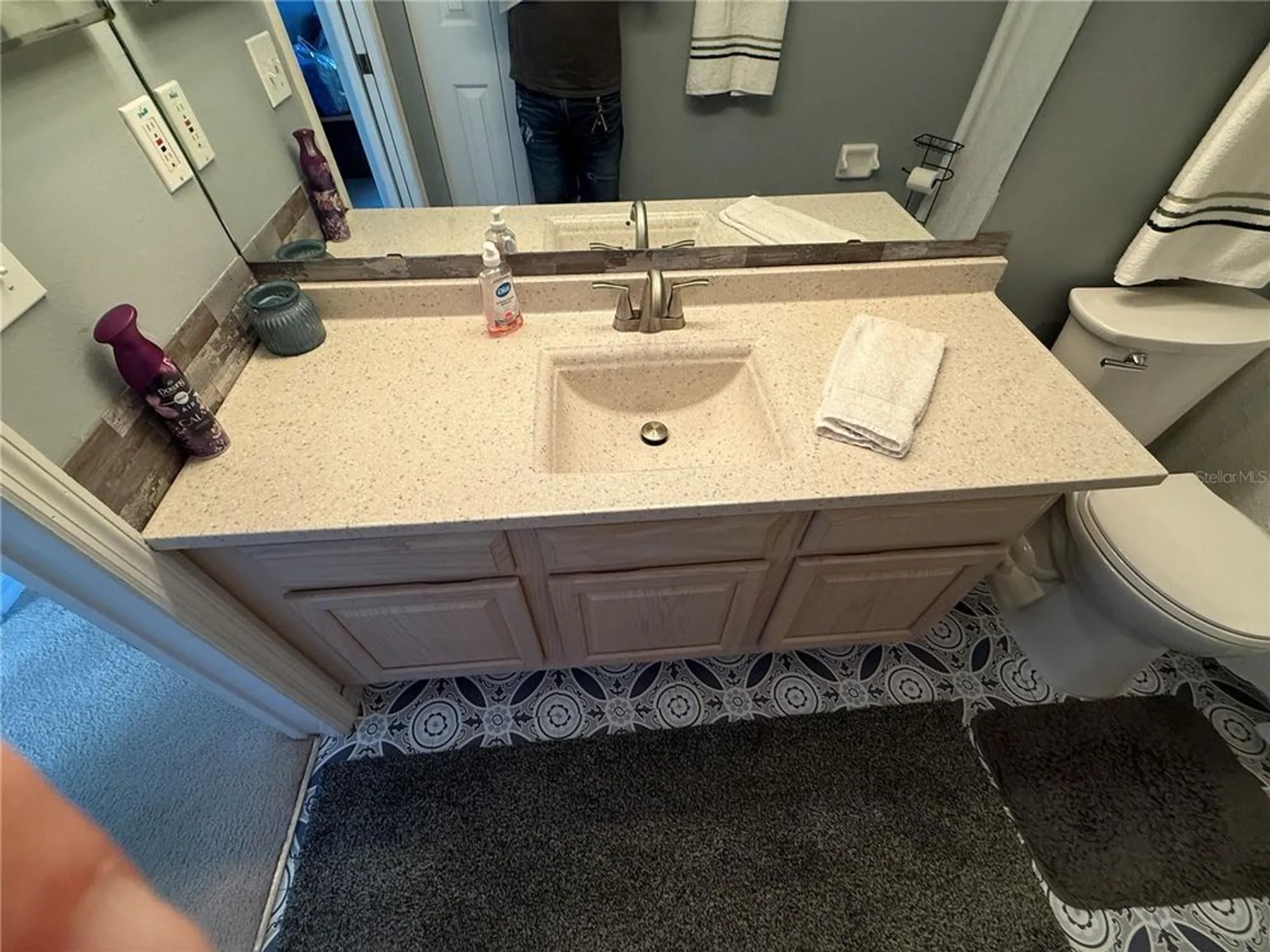 Property Slideshow image 33 of 68 | 32676 oak park dr, Leesburg, FL, 34748