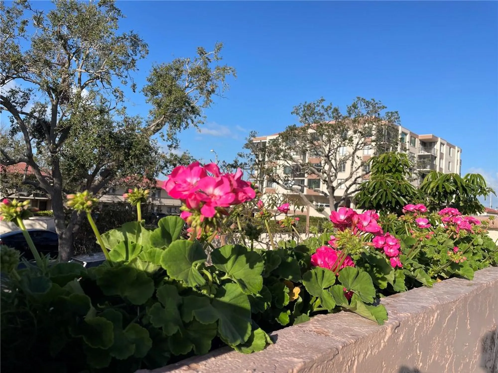 Property Slideshow image 27 of 28 | 6269 palma del mar blvd s apt 308, St Petersburg, FL, 33715