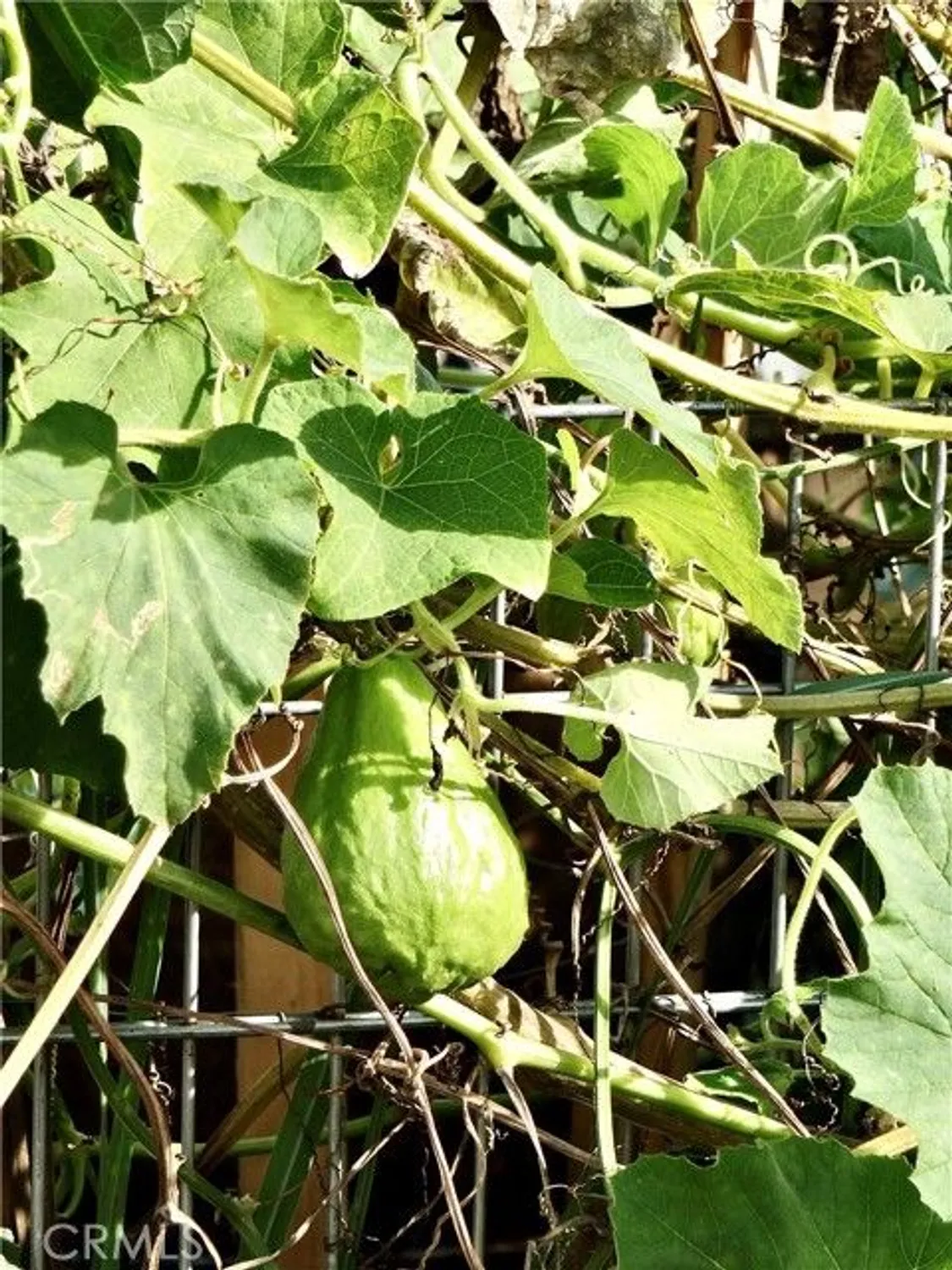 Property Slideshow image 61 of 66 | 1891 mckinney way apt 26b, Seal Beach, CA, 90740