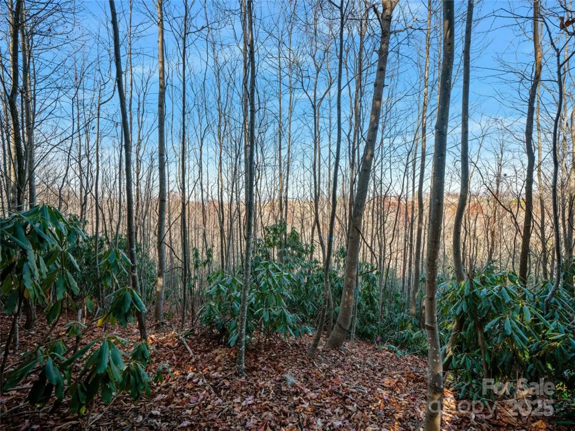 Property Slideshow image 12 of 36 | 99999 bay laurel ln, Hendersonville, NC, 28791