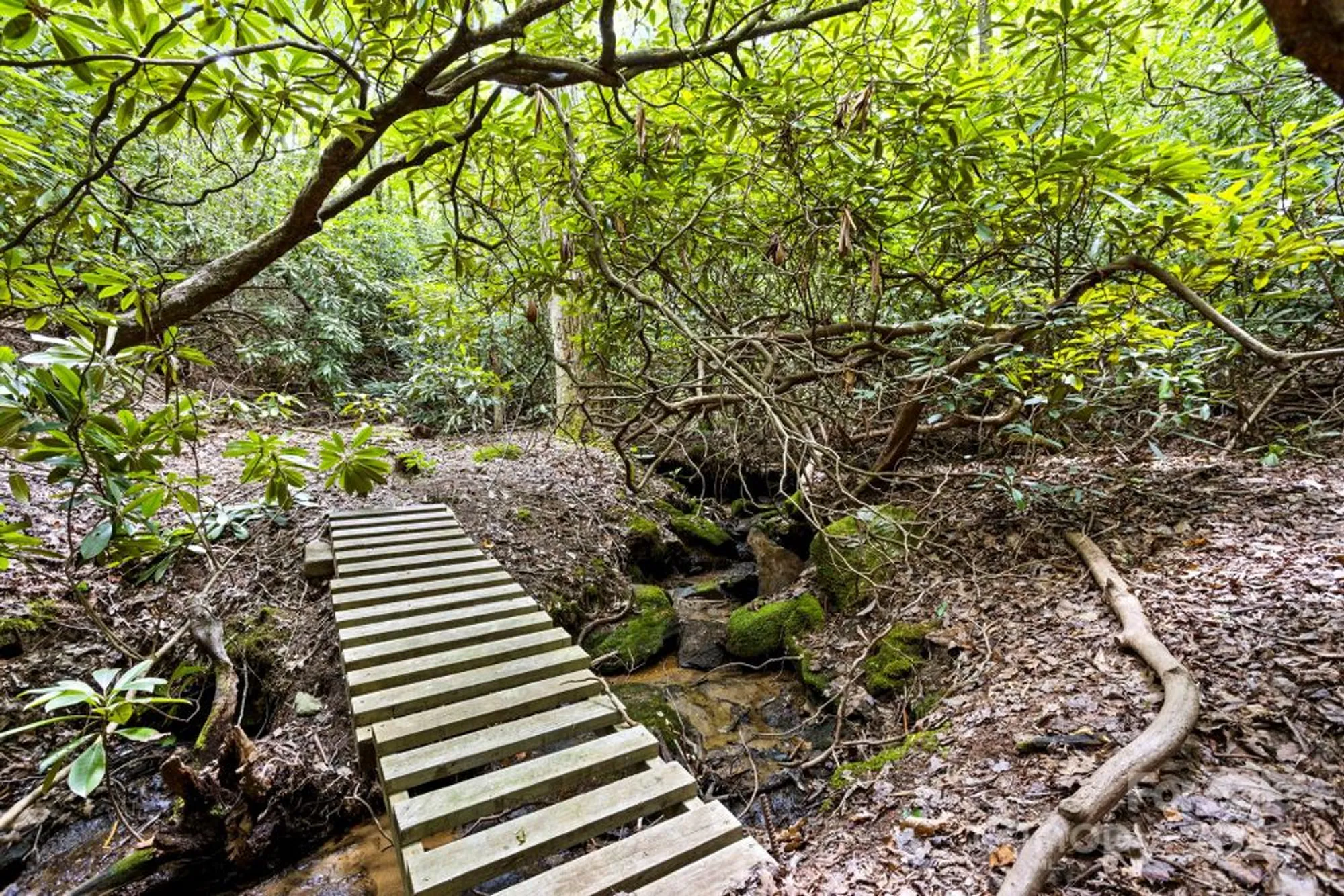 Property Slideshow image 47 of 48 | 100 elmridge dr, Flat Rock, NC, 28731