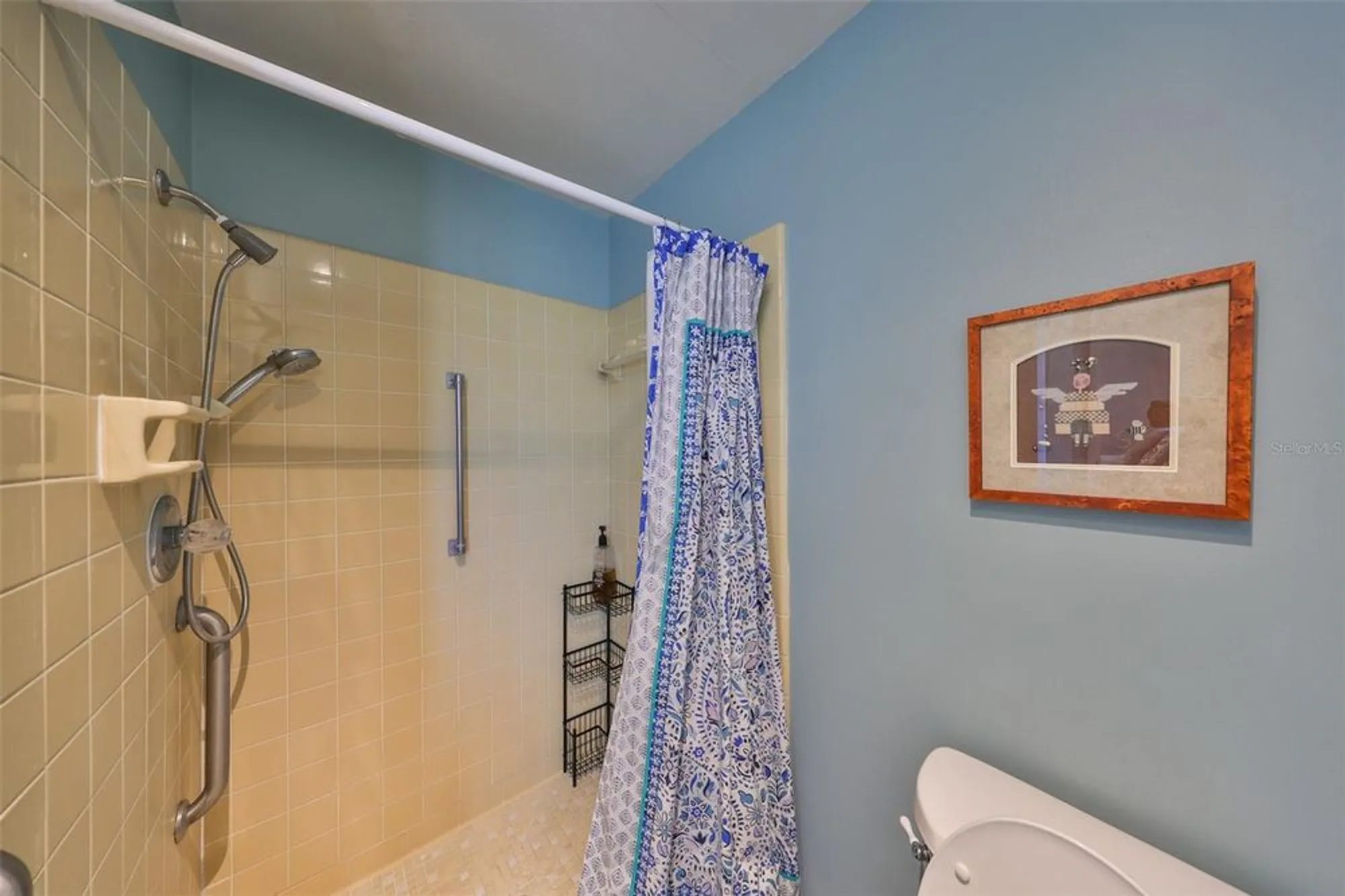 Property Slideshow image 29 of 46 | 1807 pineapple palm ct, Sun City Center, FL, 33573
