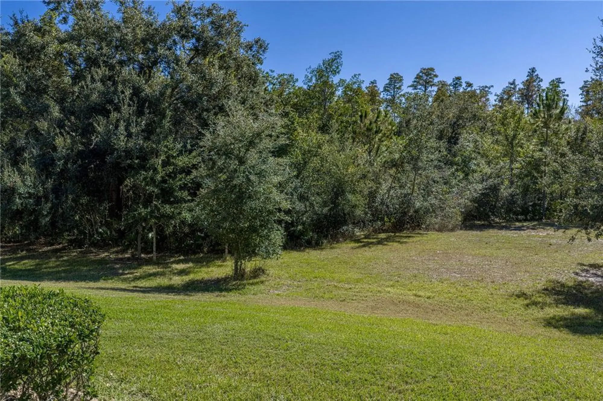 Property Slideshow image 50 of 92 | 9617 rolling cir, San Antonio, FL, 33576