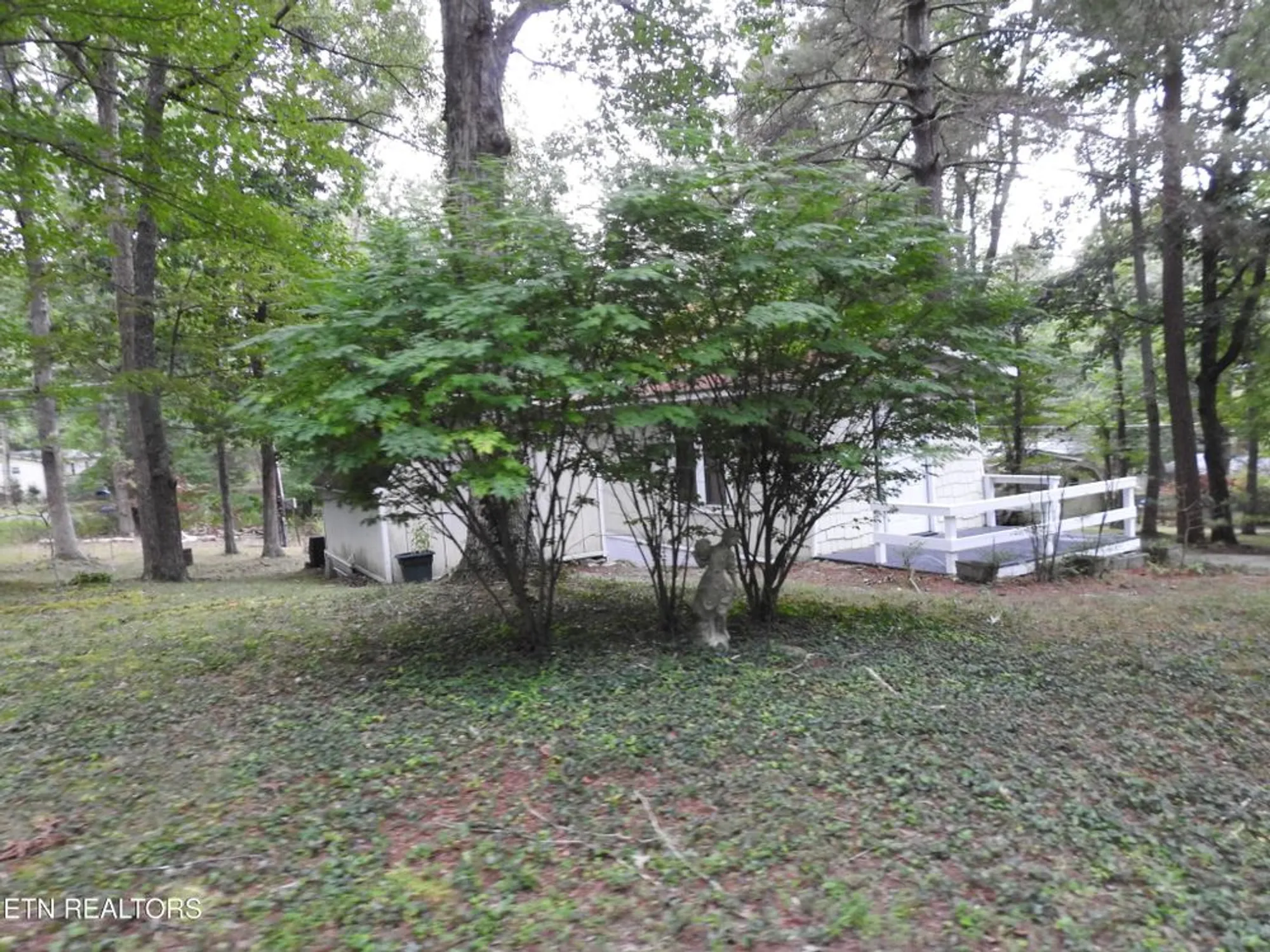 Property Slideshow image 39 of 42 | 244 rugby rd, Crossville, TN, 38558