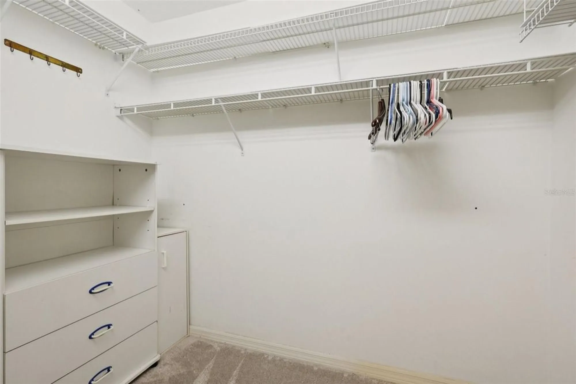 Property Slideshow image 25 of 56 | 6001 spring creek ct, Mount Dora, FL, 32757