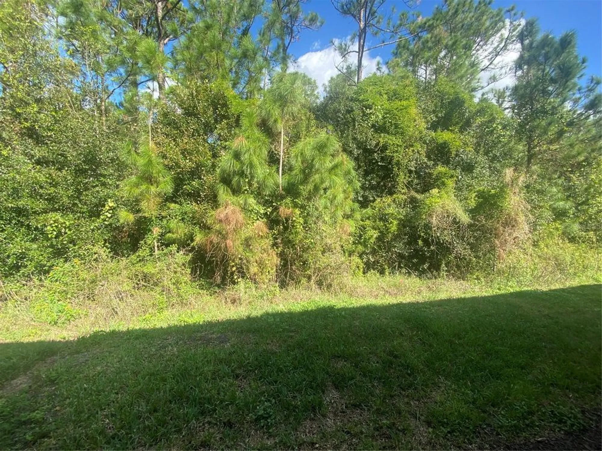 Property Slideshow image 32 of 44 | 1561 vienna square dr, Winter Haven, FL, 33884