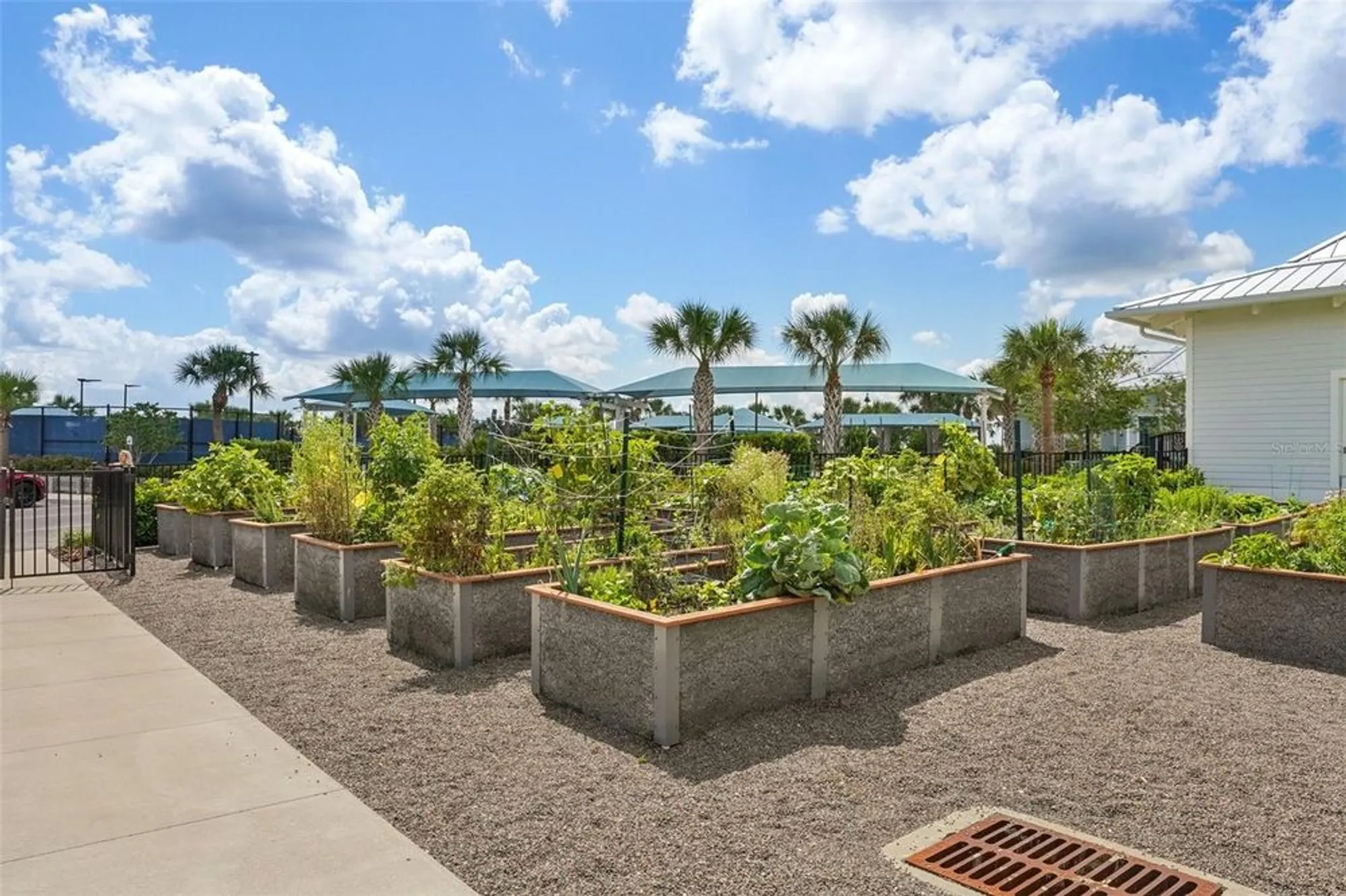 Property Slideshow image 88 of 98 | 19183 coastal shore ter, Land O Lakes, FL, 34638