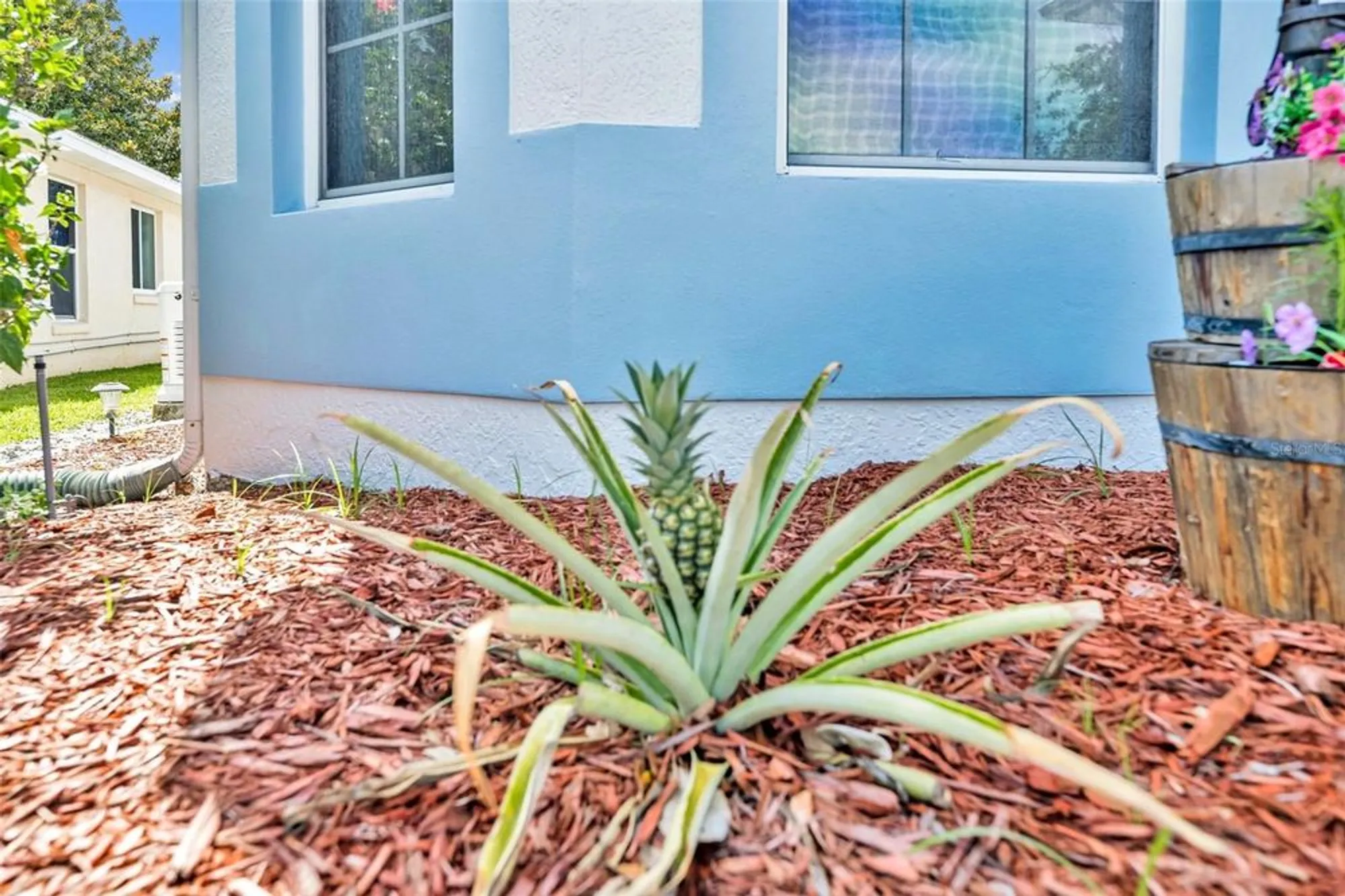 Property Slideshow image 41 of 65 | 5964 brittania blvd, Tavares, FL, 32778