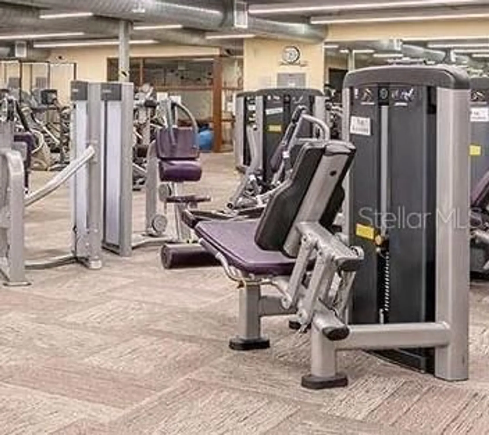 Property Slideshow image 41 of 61 | 2127 hailstone cir, Sun City Center, FL, 33573